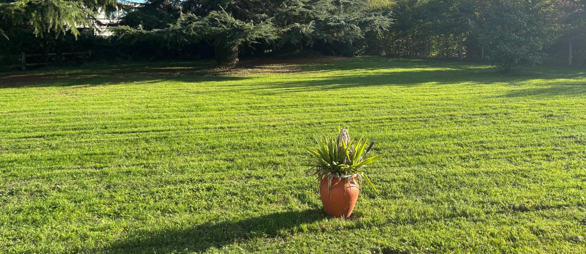 Photographie descriptive du bien