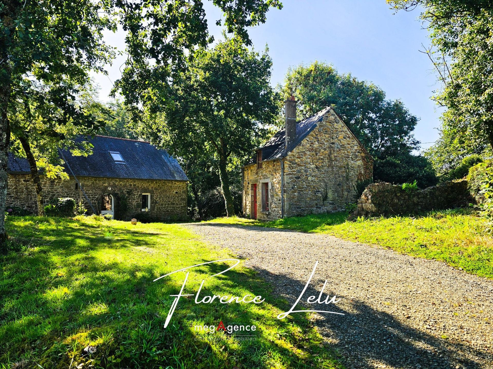 Miniature photo - 2 / 4