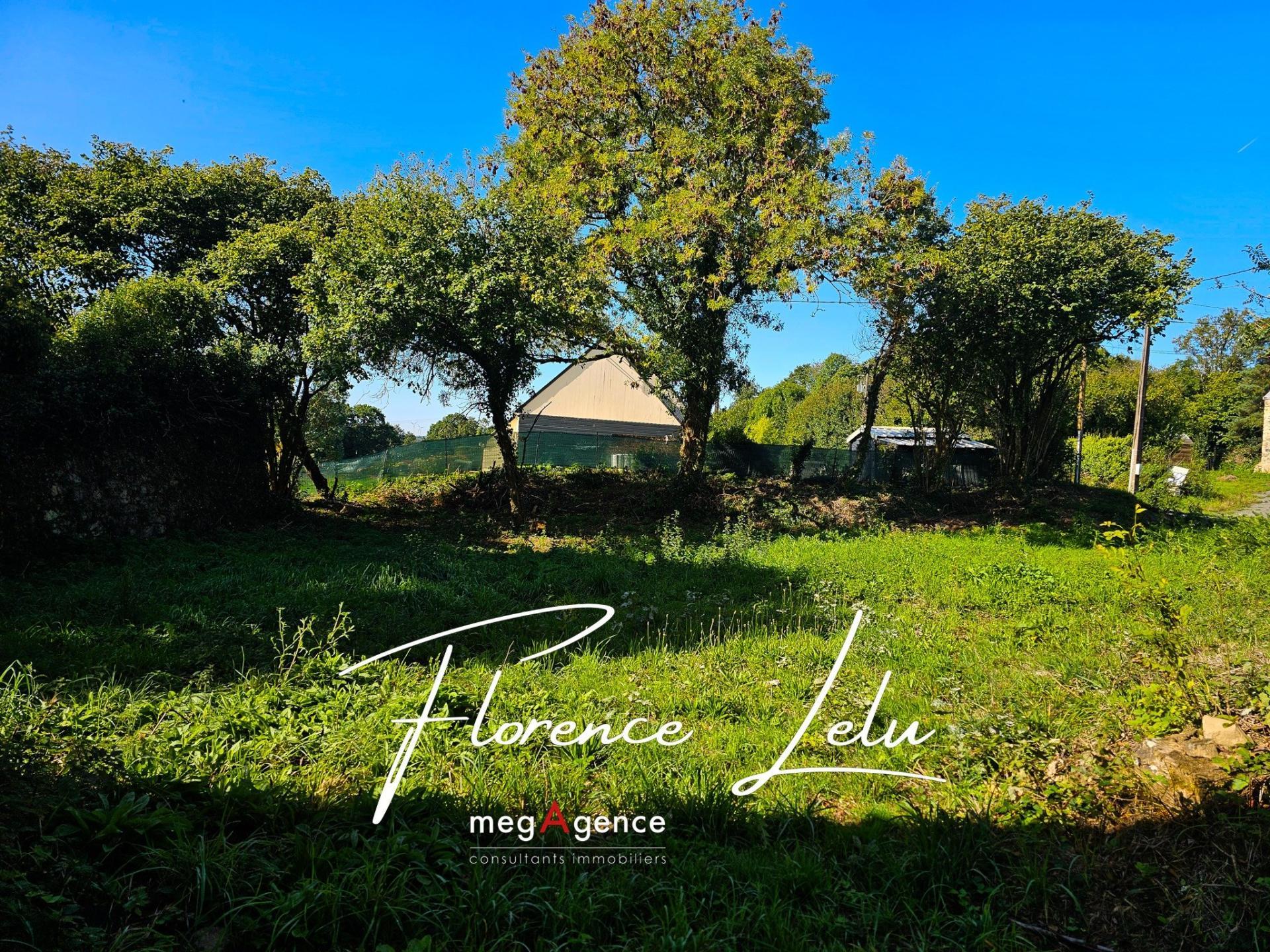 Miniature photo - 3 / 4