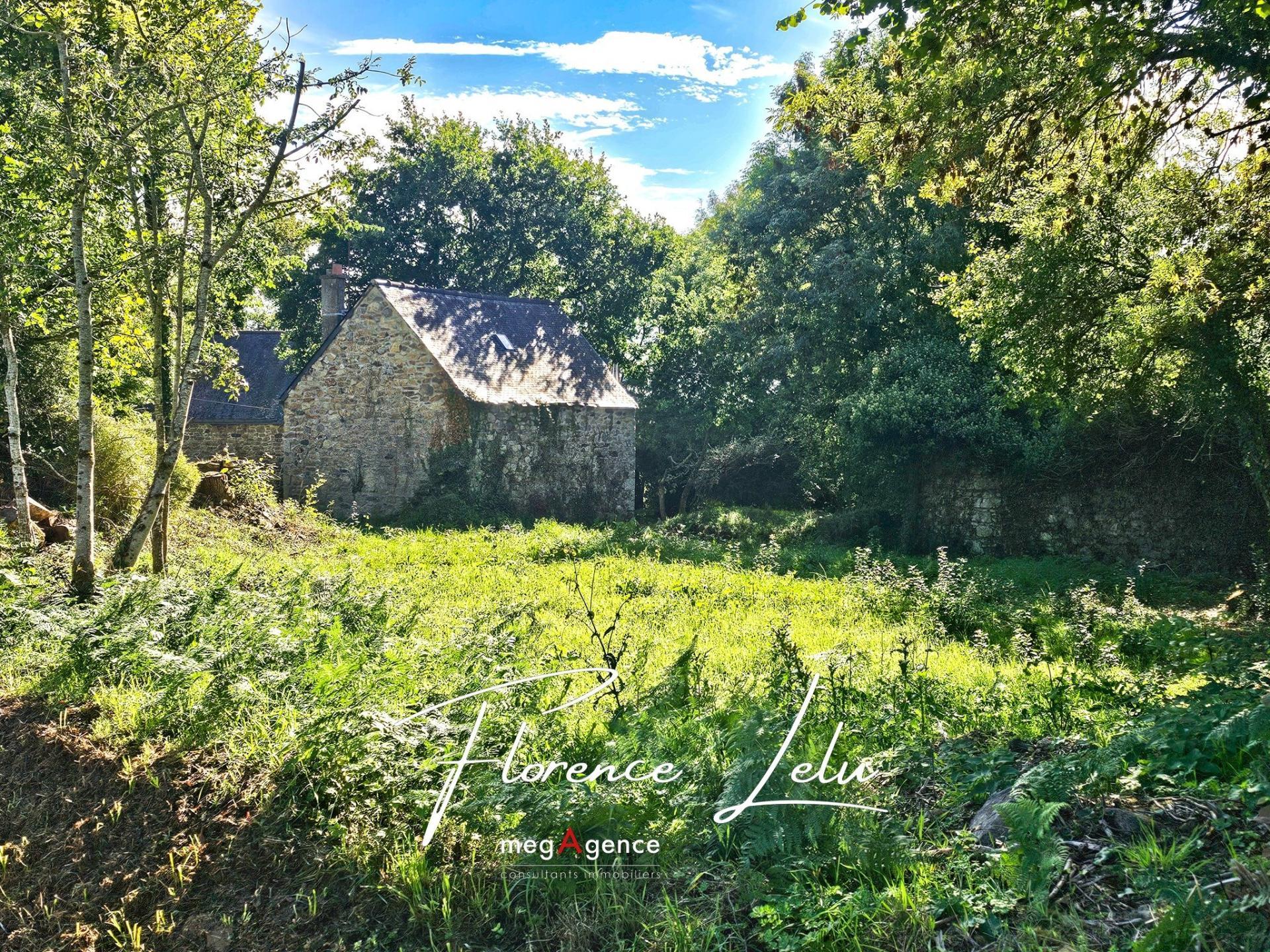 Miniature photo - 4 / 4