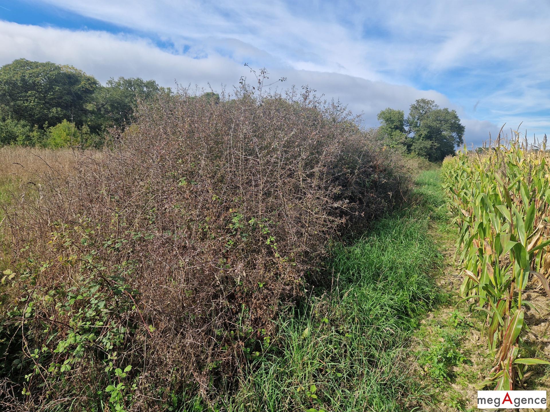 Miniature photo - 5 / 5