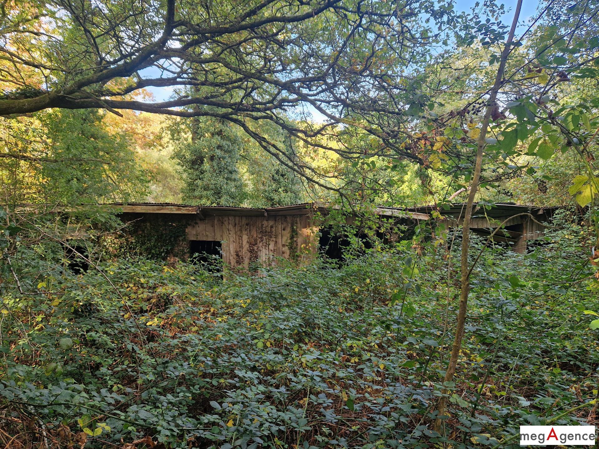 Miniature photo - 2 / 5