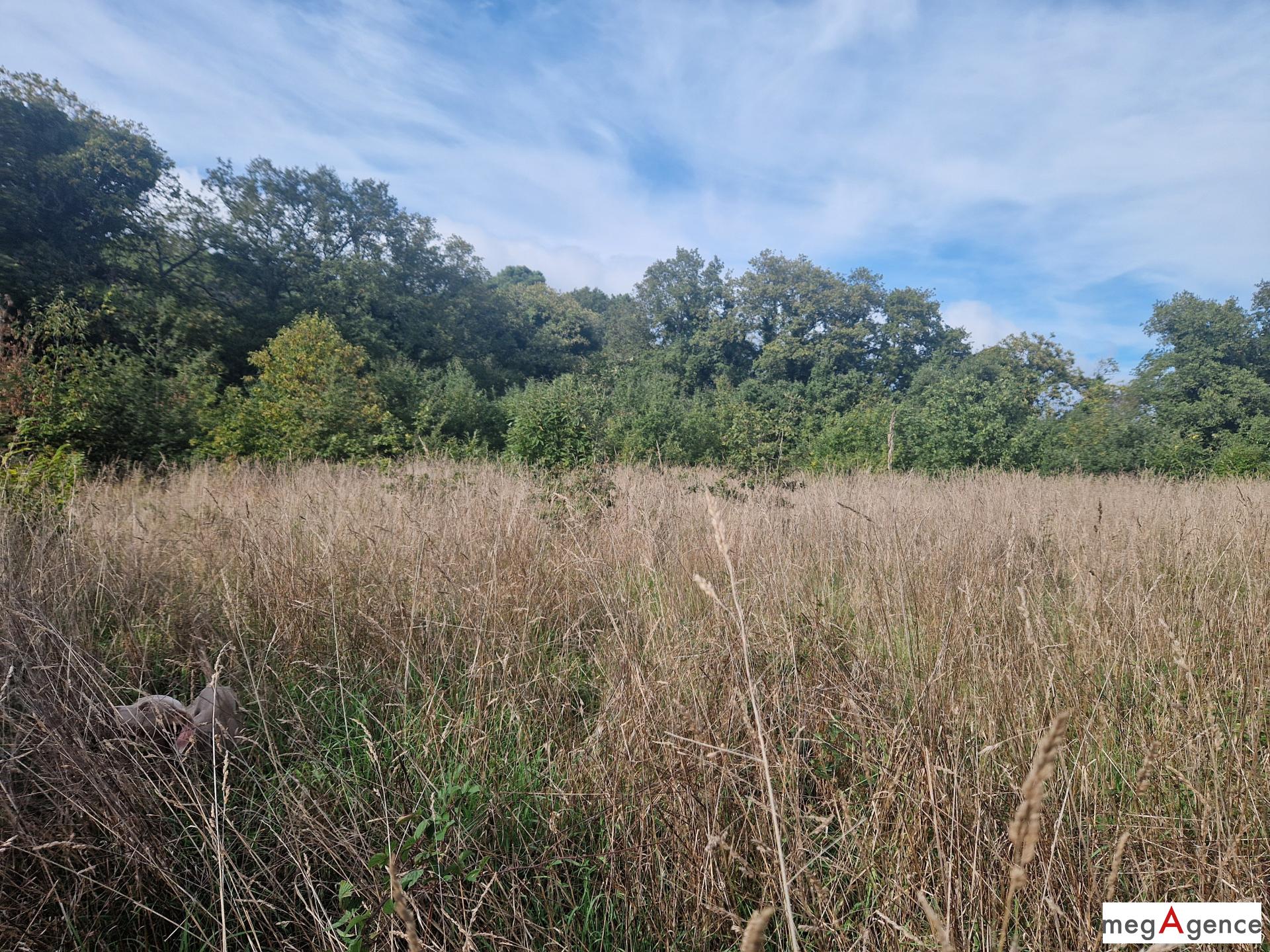 Miniature photo - 5 / 5