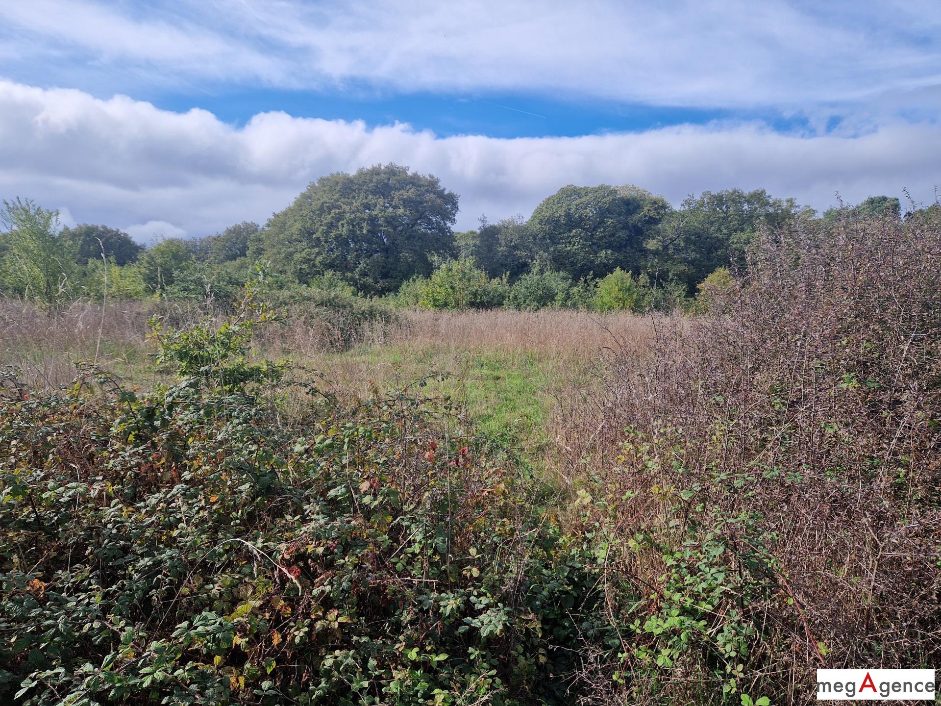 Miniature photo - 4 / 5