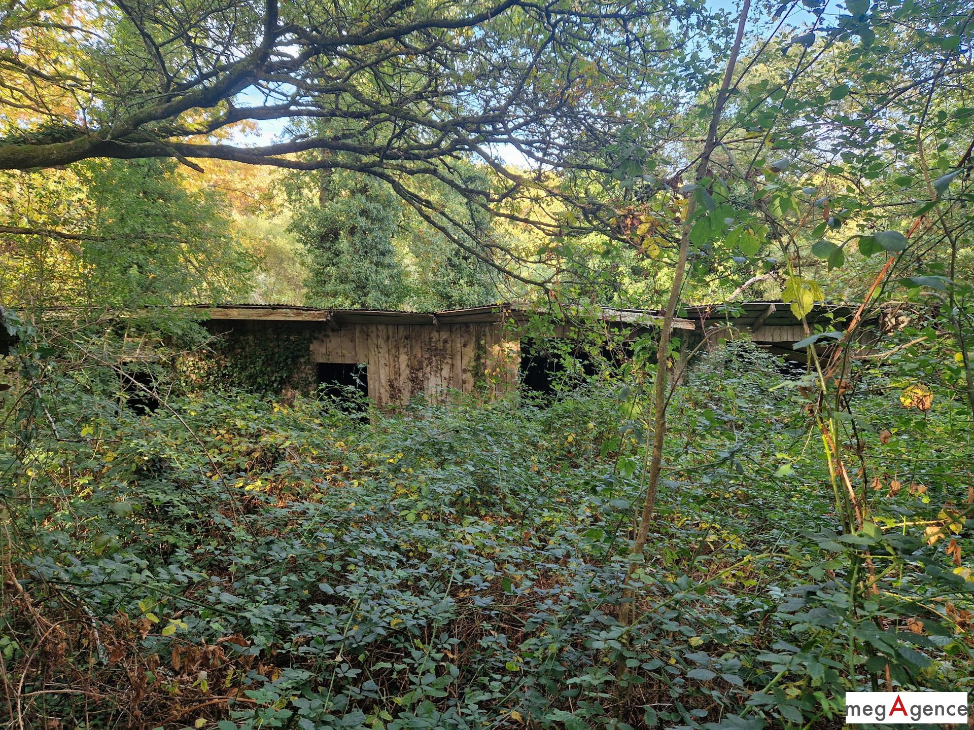 Photographie descriptive du bien