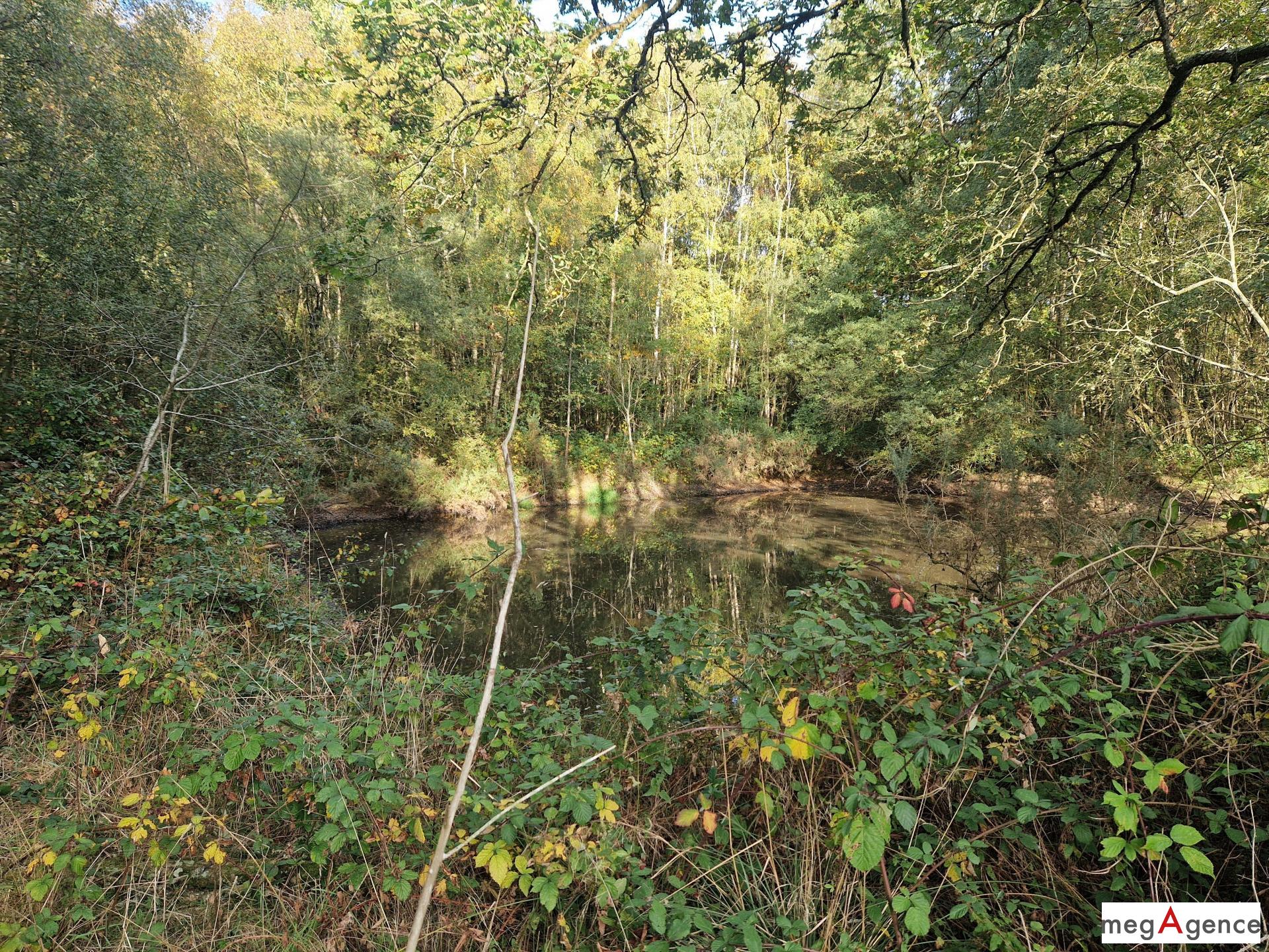 Miniature photo - 3 / 5