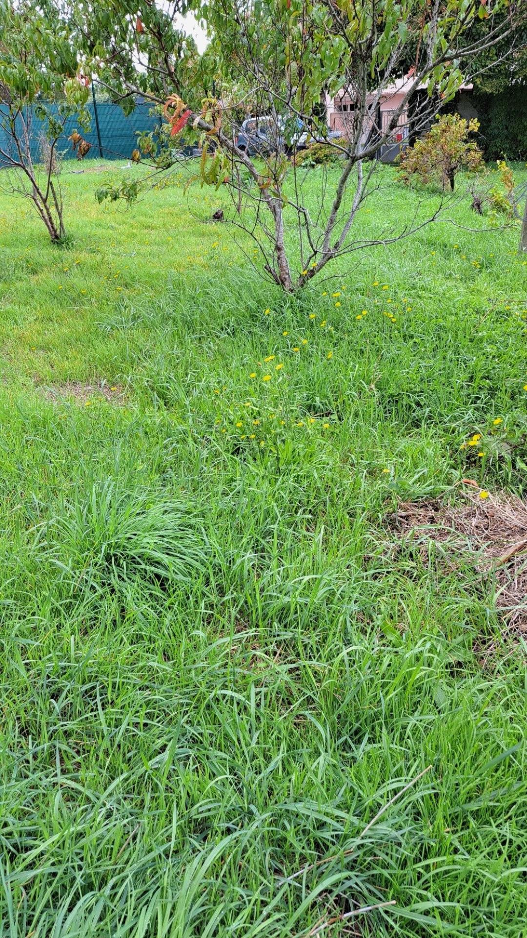 Photographie descriptive du bien