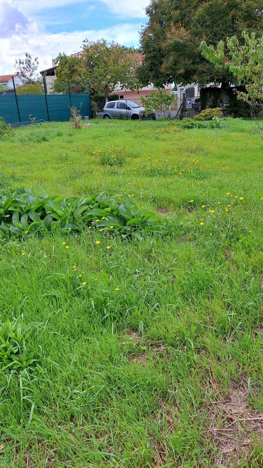 Miniature photo - 2 / 8