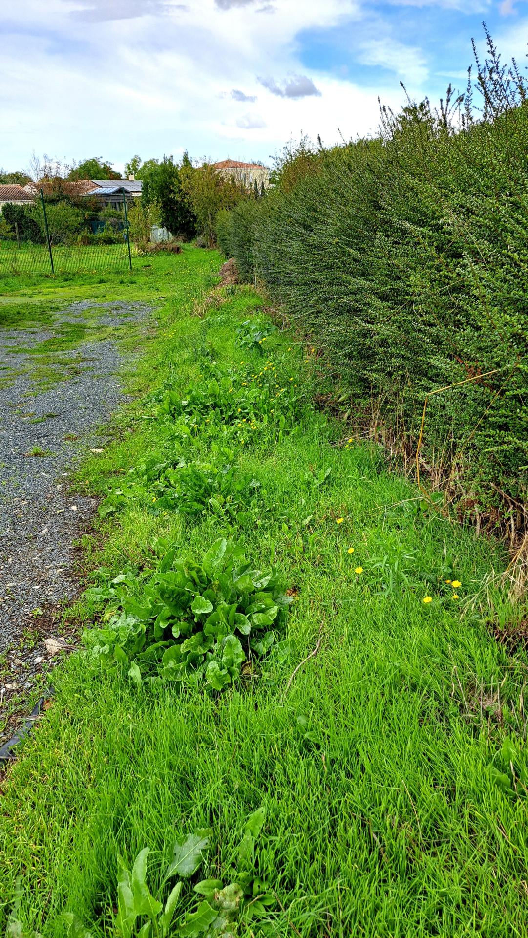 Miniature photo - 7 / 8