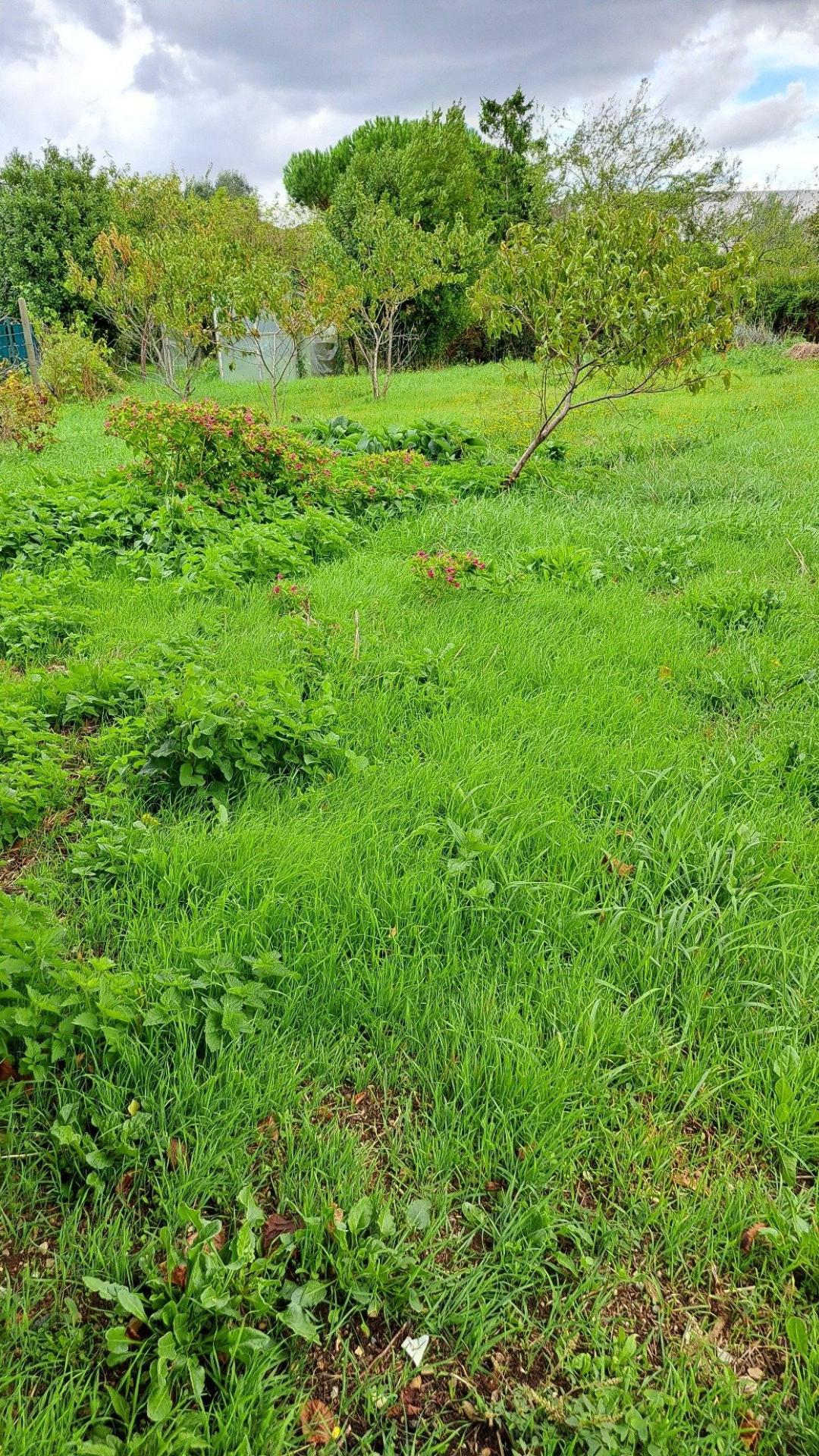 Miniature photo - 4 / 8