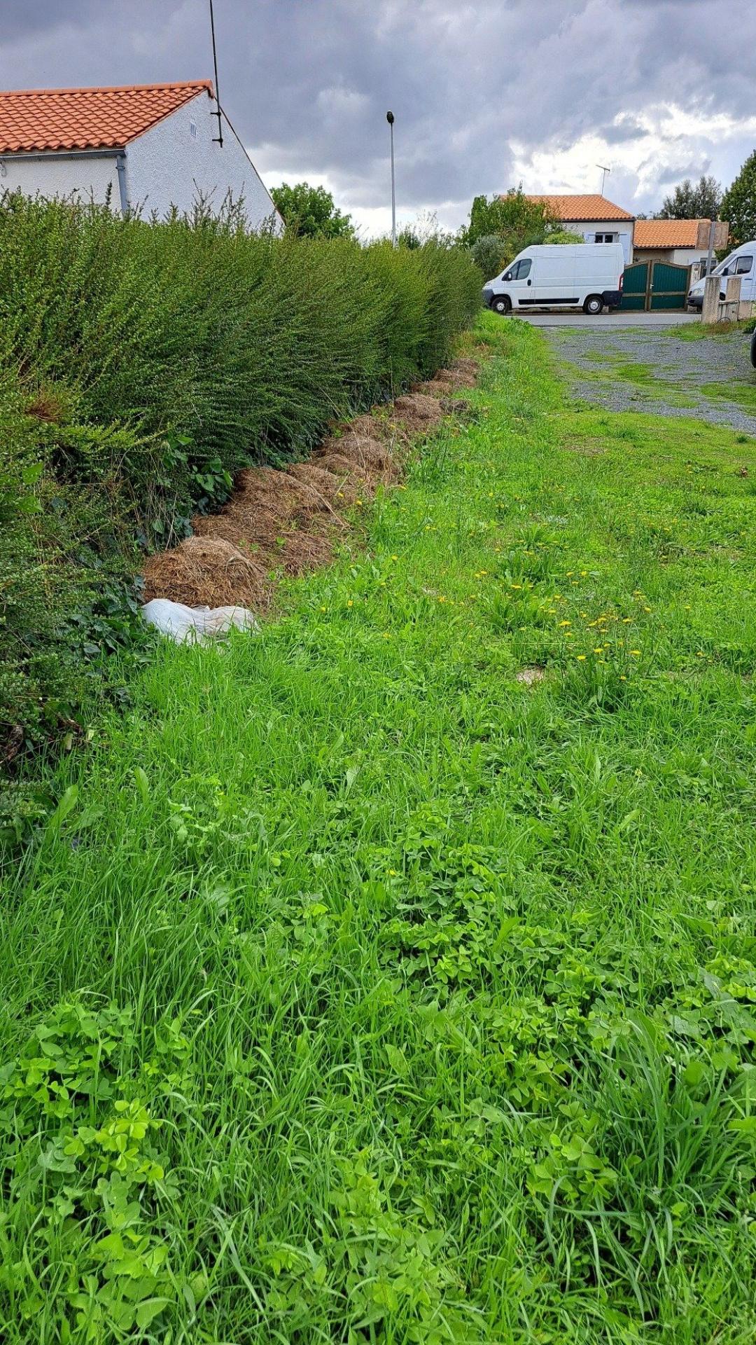 Miniature photo - 6 / 8