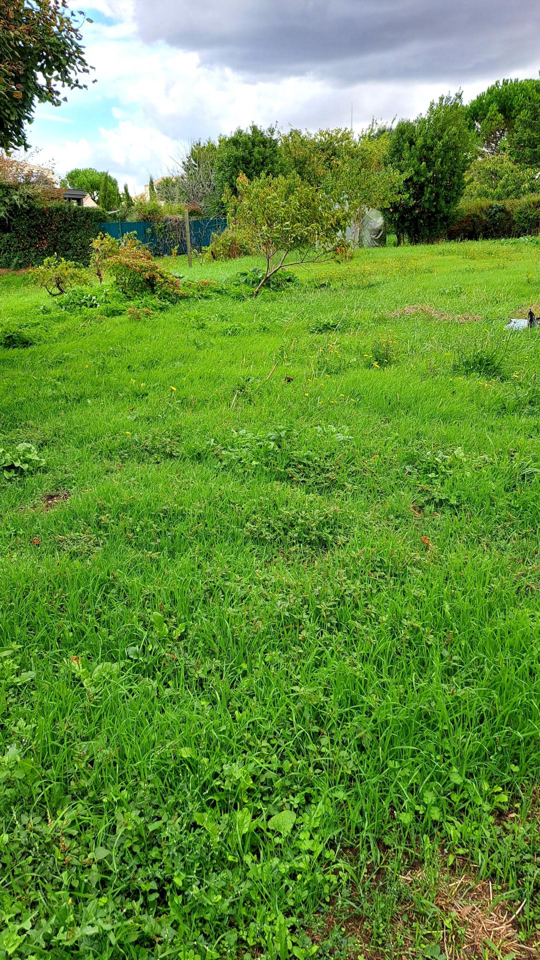 Miniature photo - 8 / 8