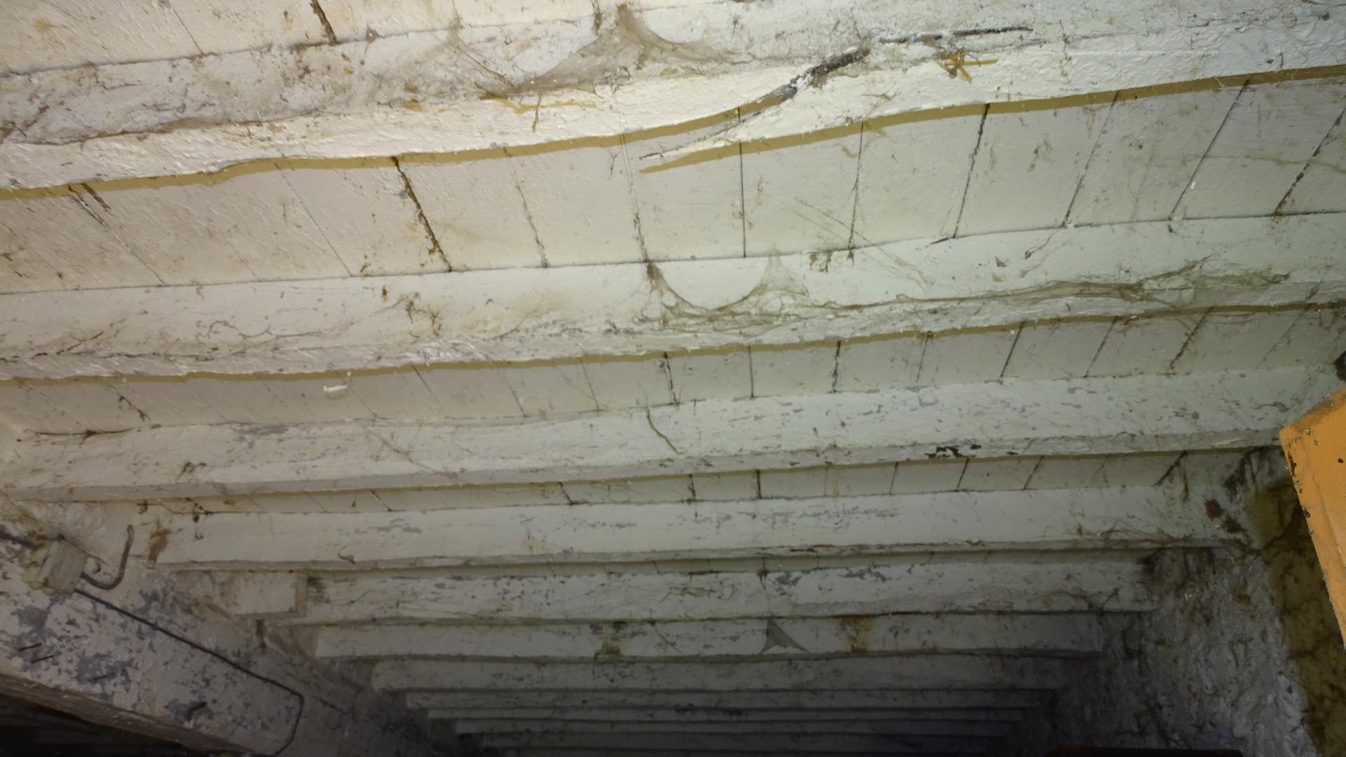 Miniature photo - 4 / 7