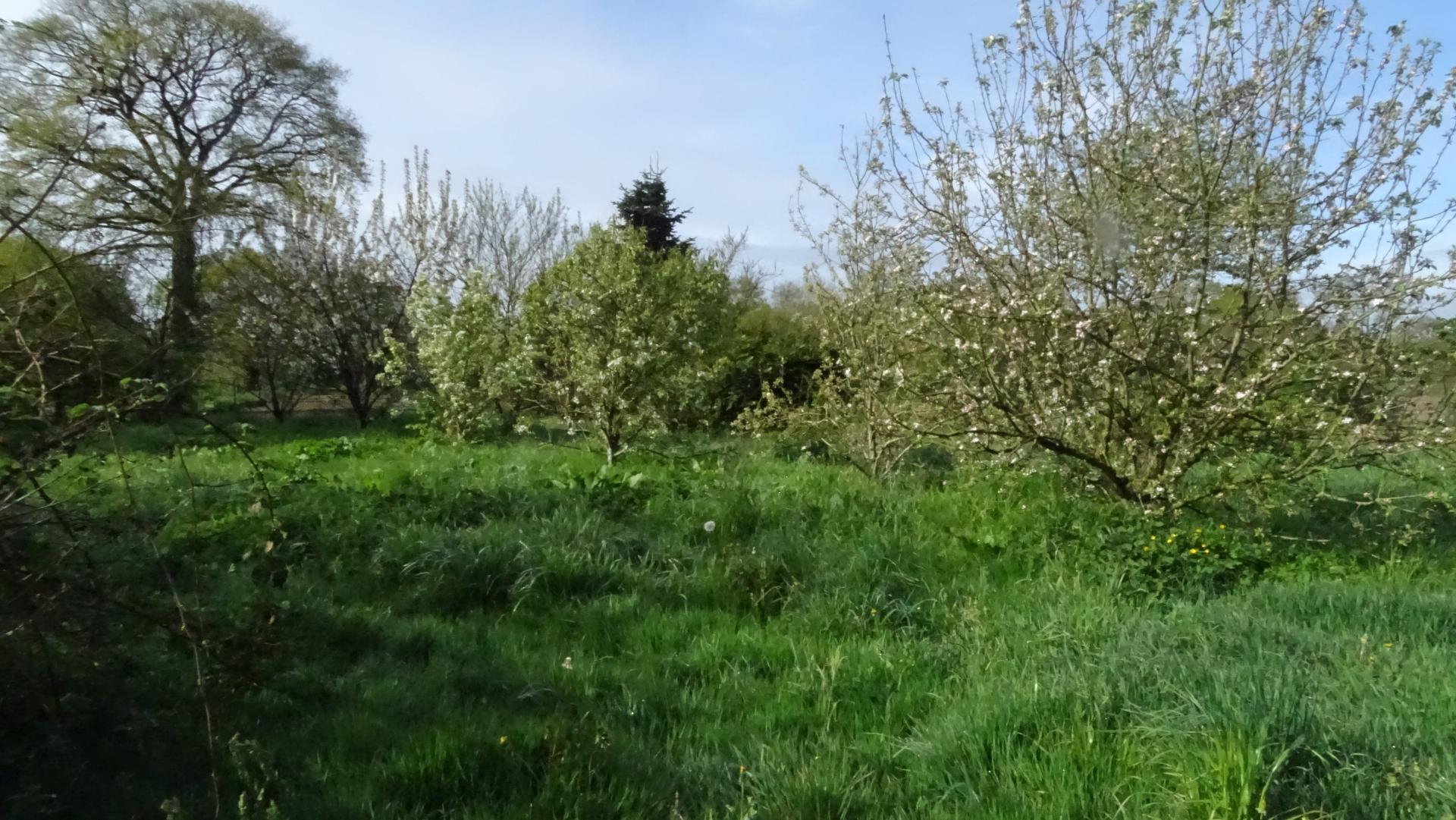 Miniature photo - 7 / 7