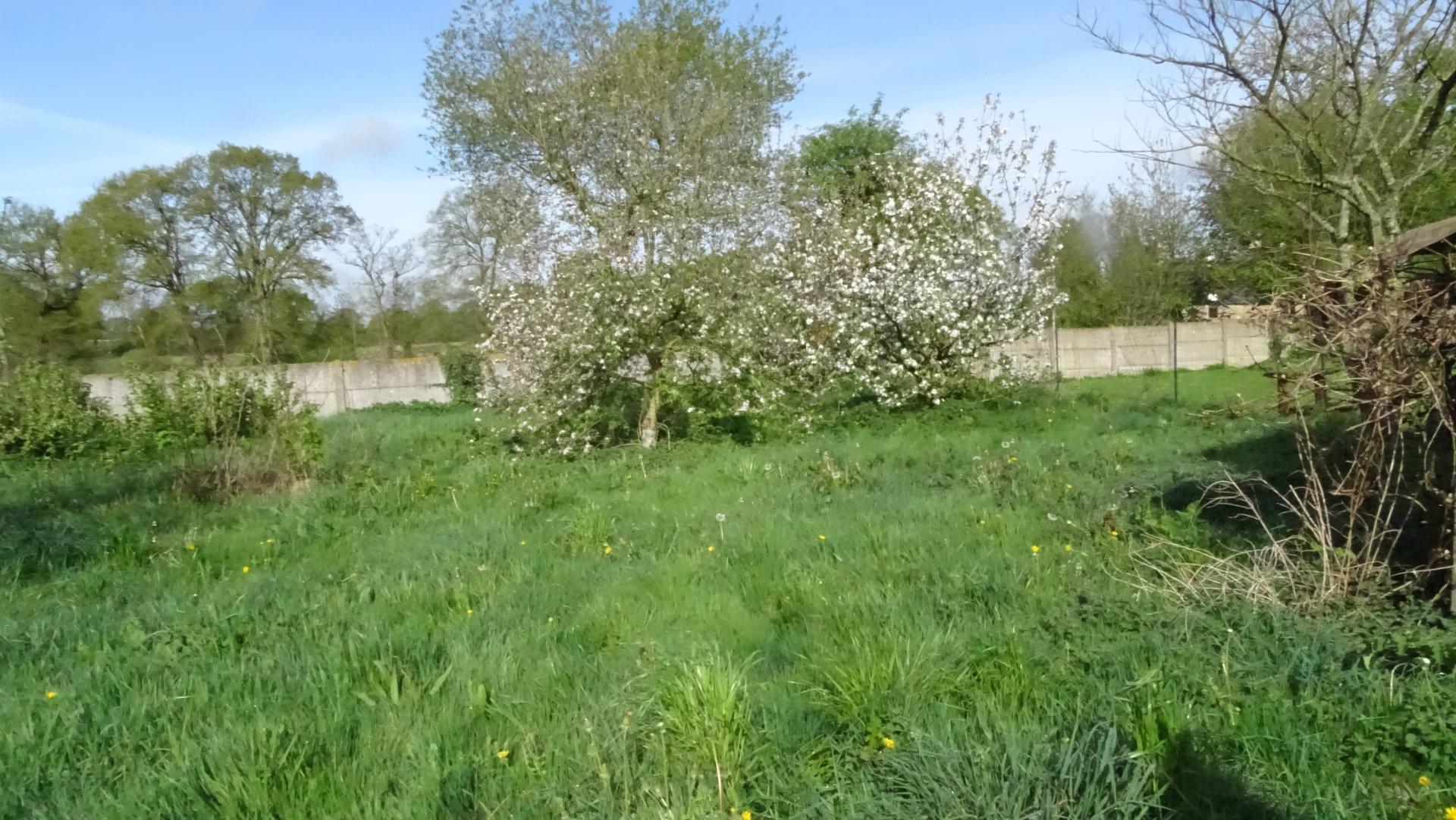 Miniature photo - 6 / 7