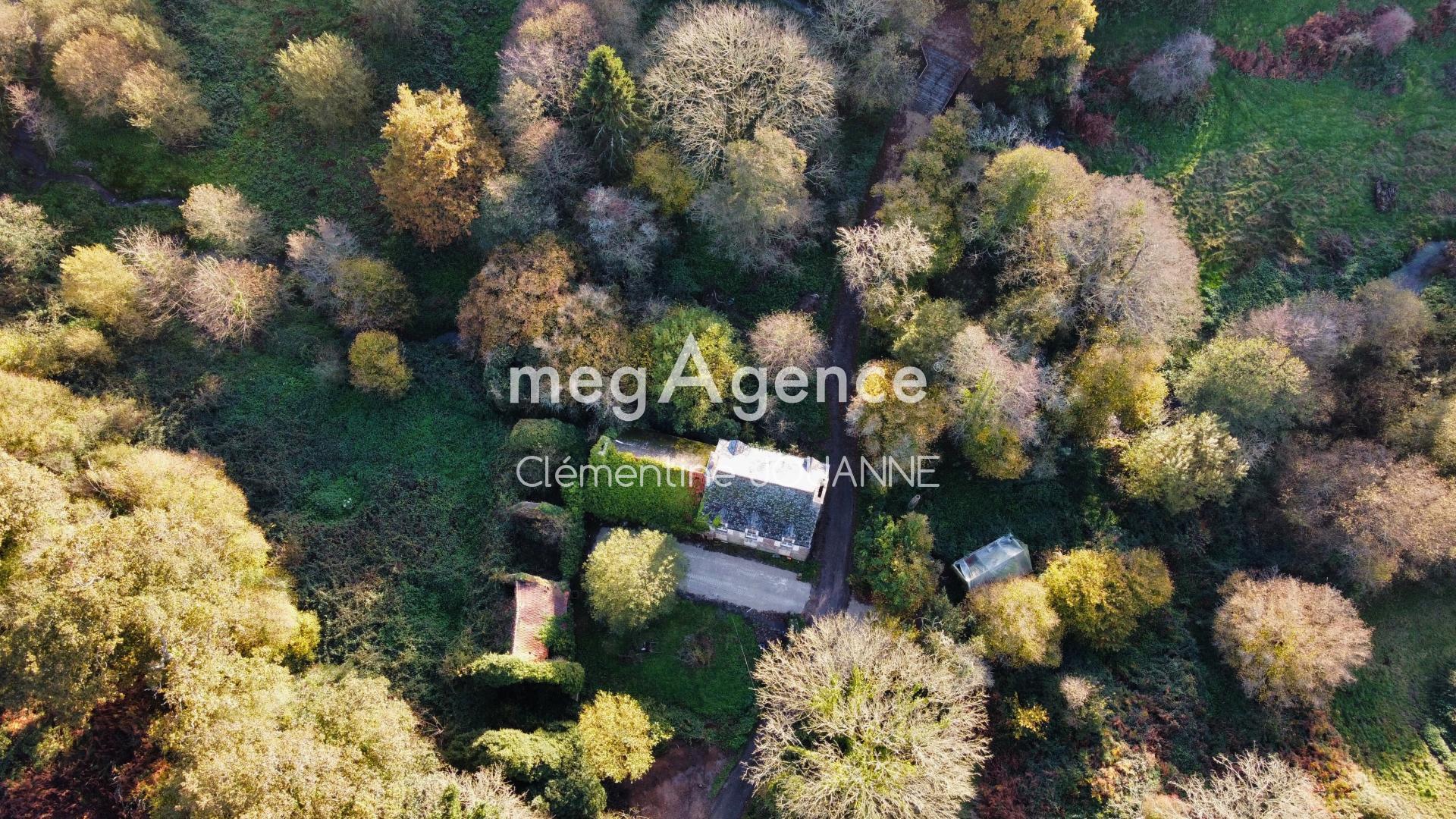 Miniature photo - 4 / 7