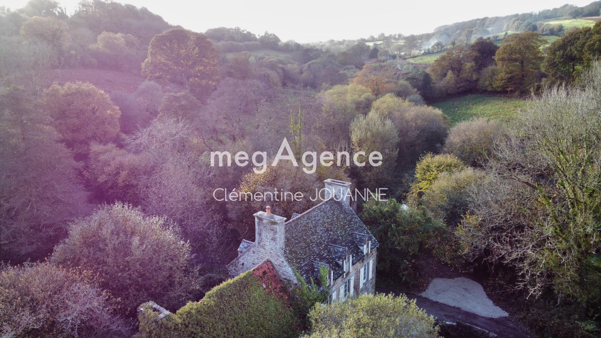 Miniature photo - 3 / 7