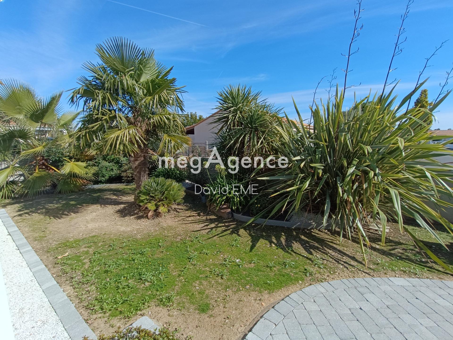 Miniature photo - 12 / 12