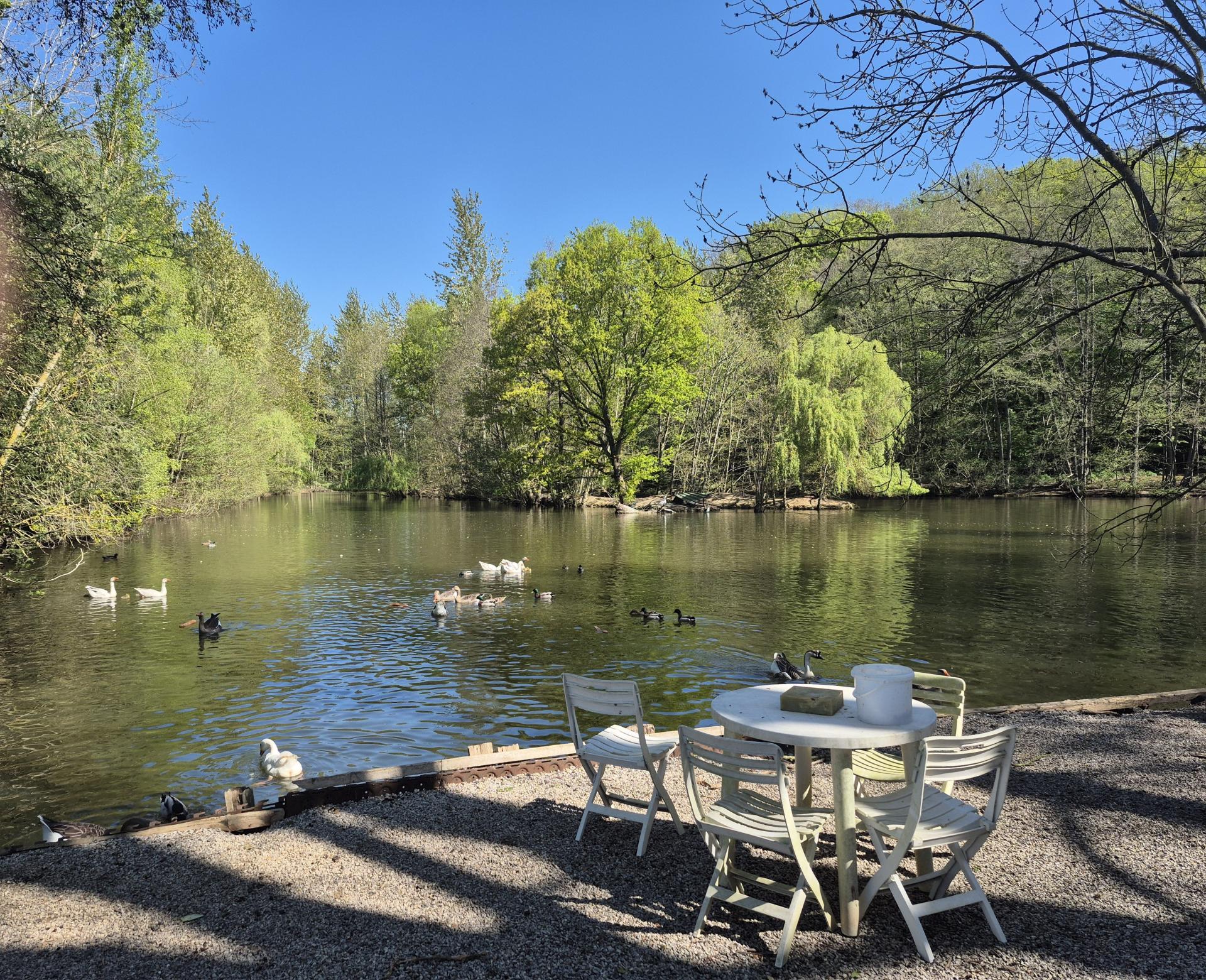 Miniature photo - 5 / 13