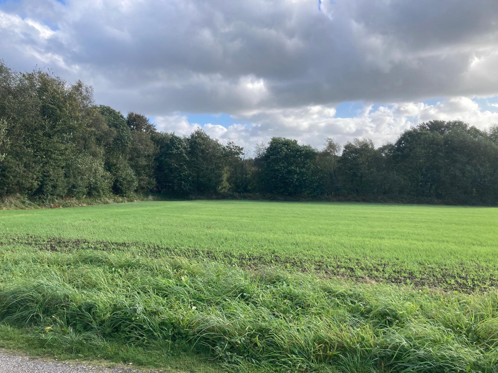 Photographie descriptive du bien