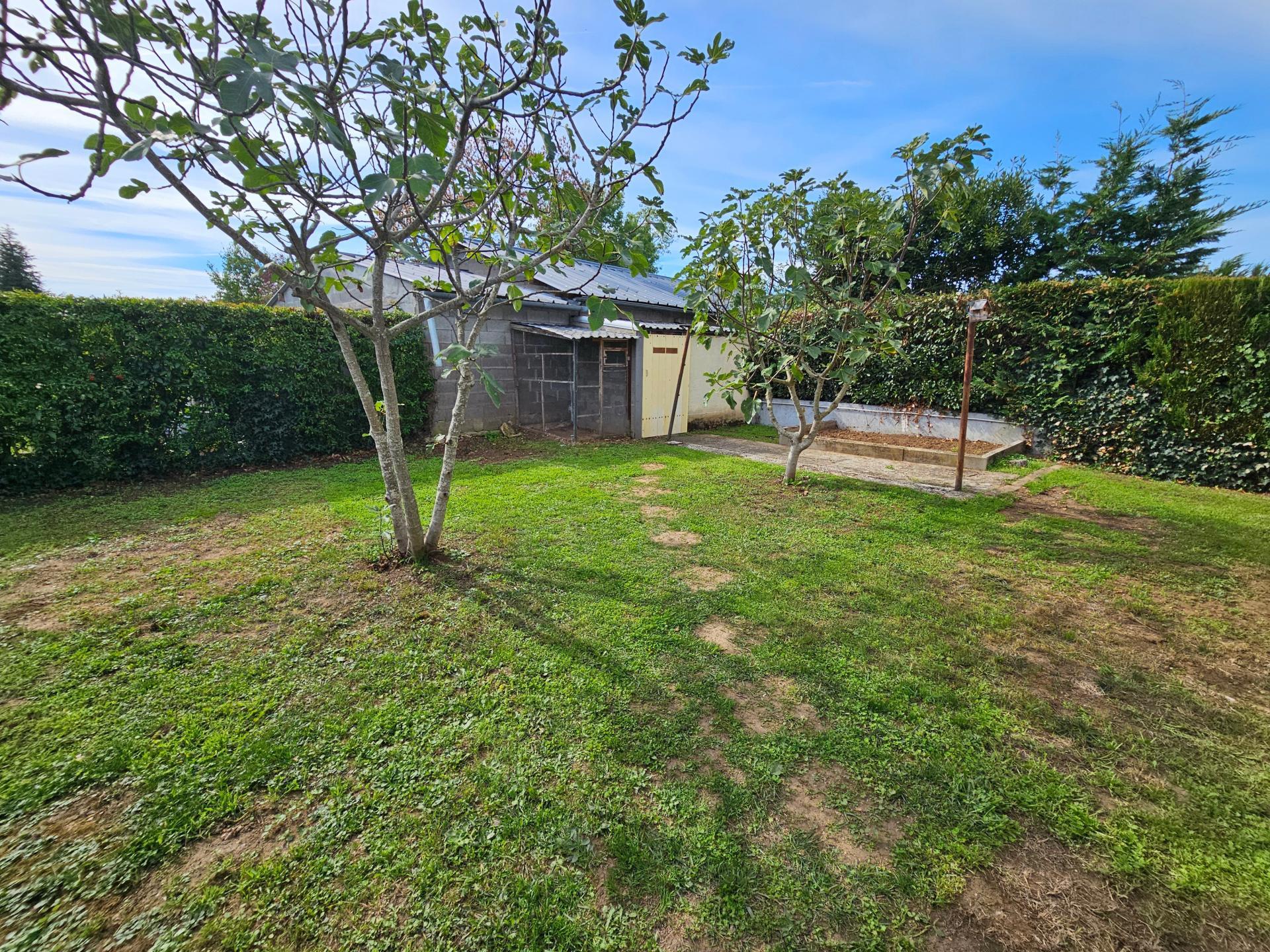 Miniature photo - 17 / 17