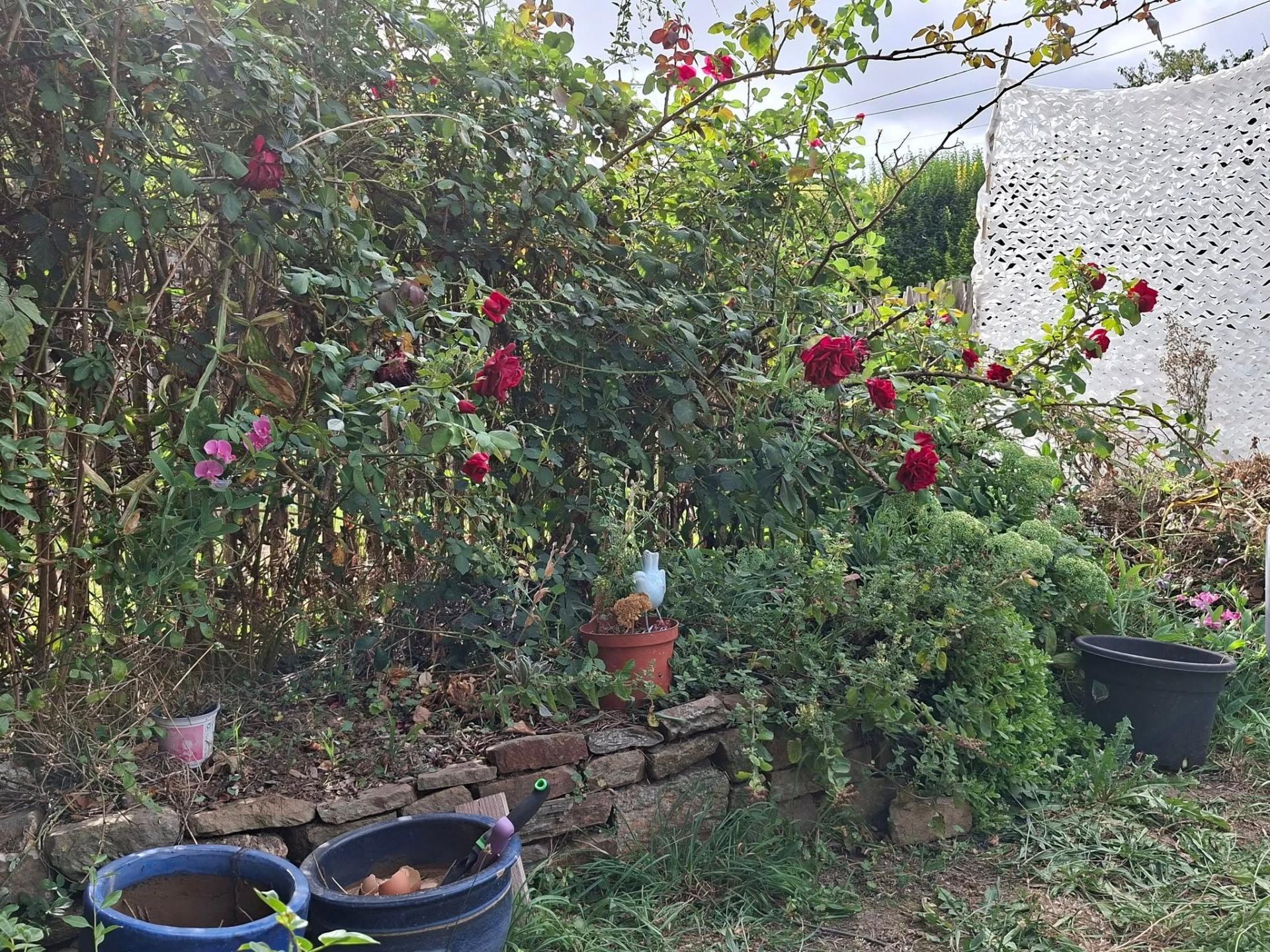 Miniature photo - 12 / 12