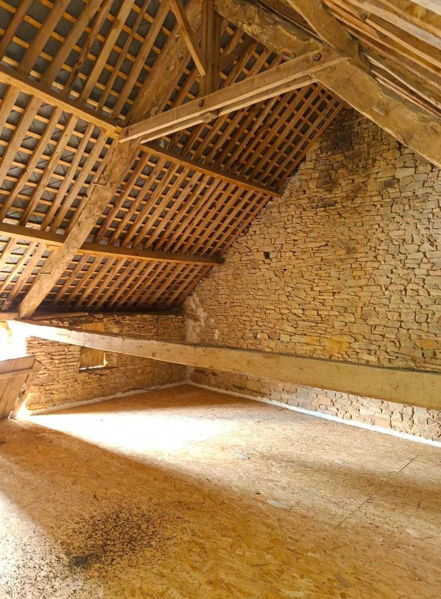 Miniature photo - 11 / 12