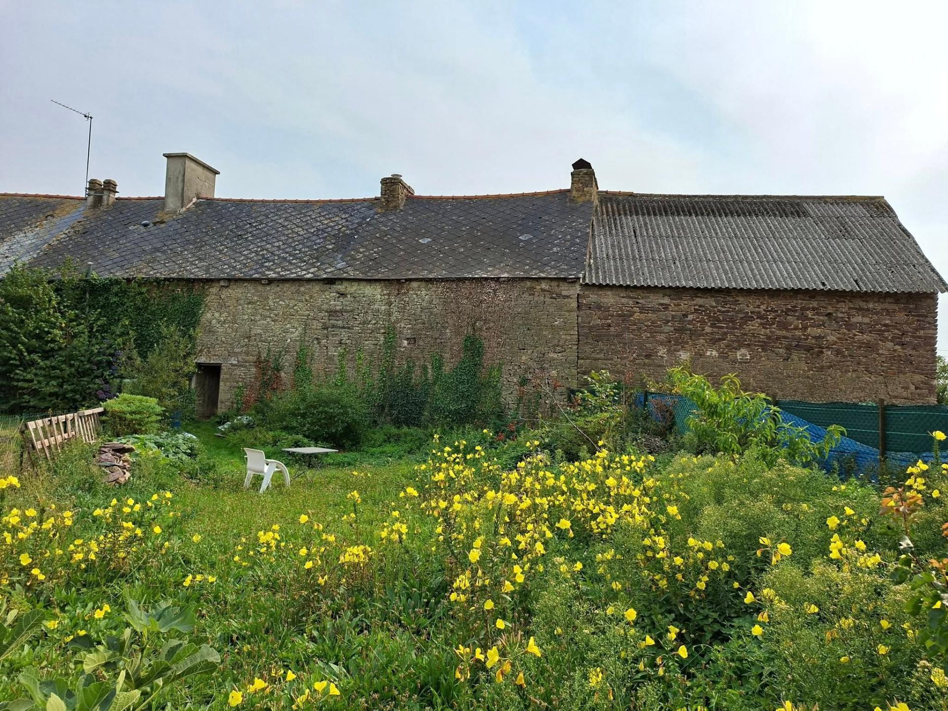 Miniature photo - 4 / 12