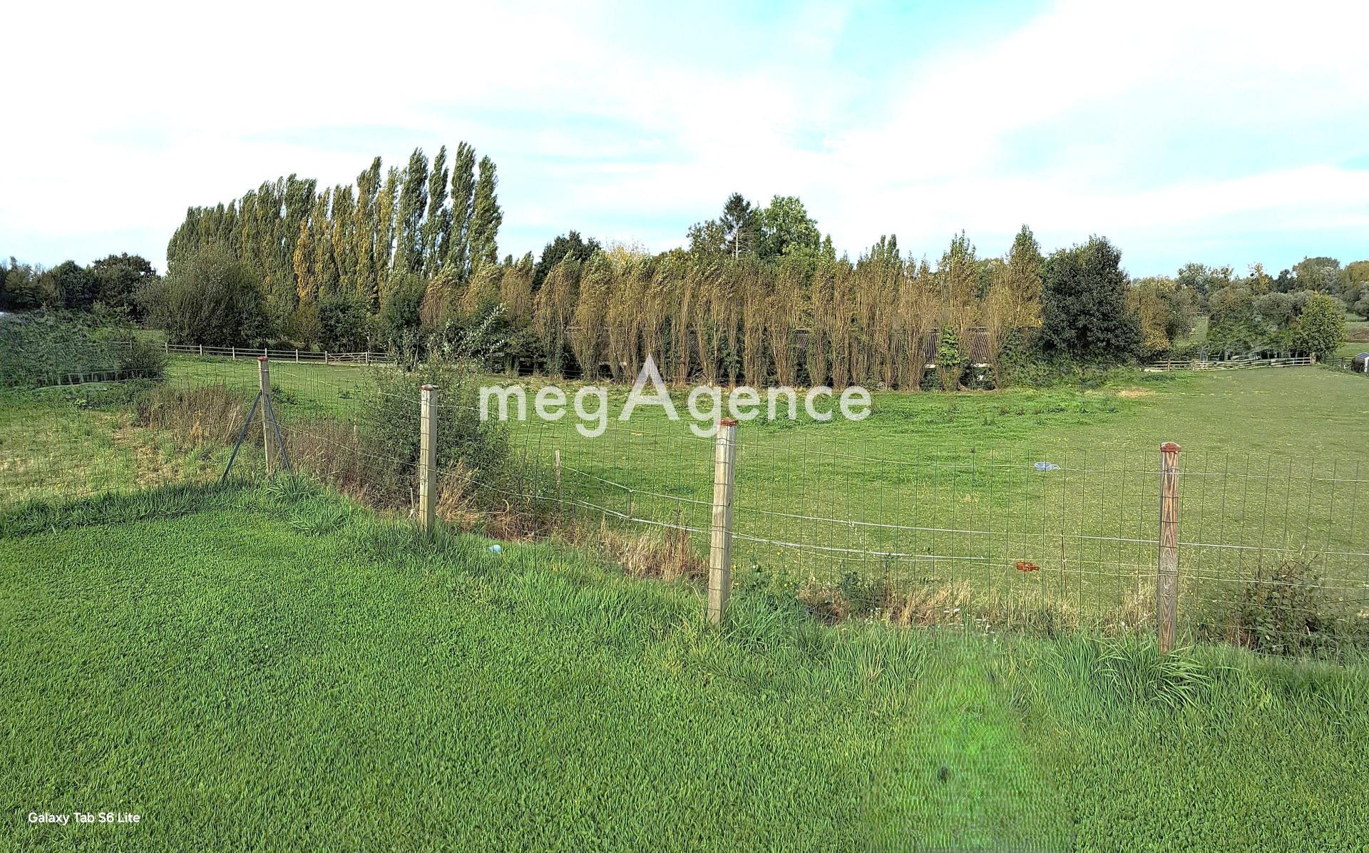 Miniature photo - 7 / 13