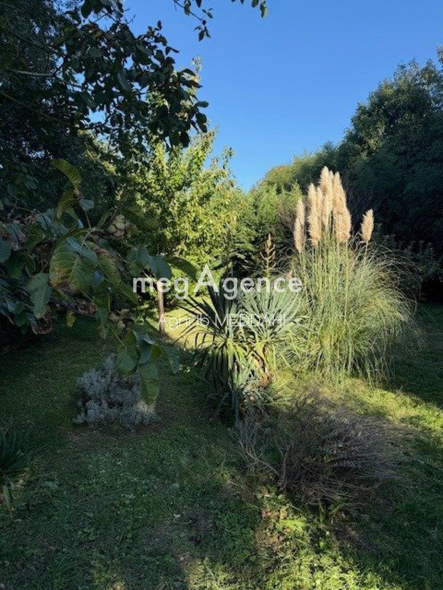 Miniature photo - 5 / 10