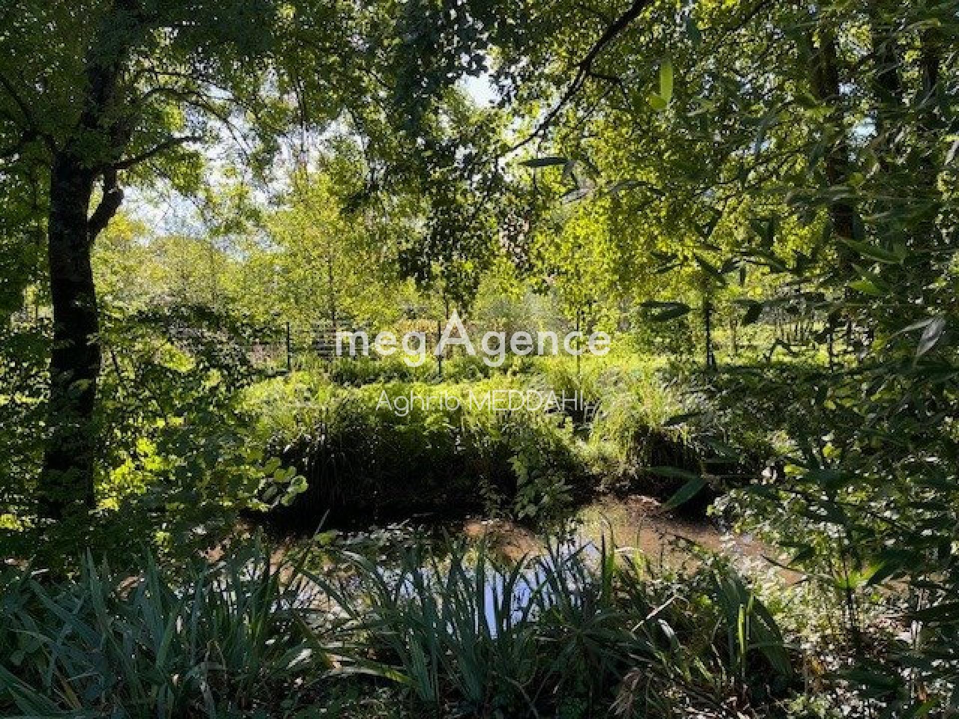 Miniature photo - 3 / 10