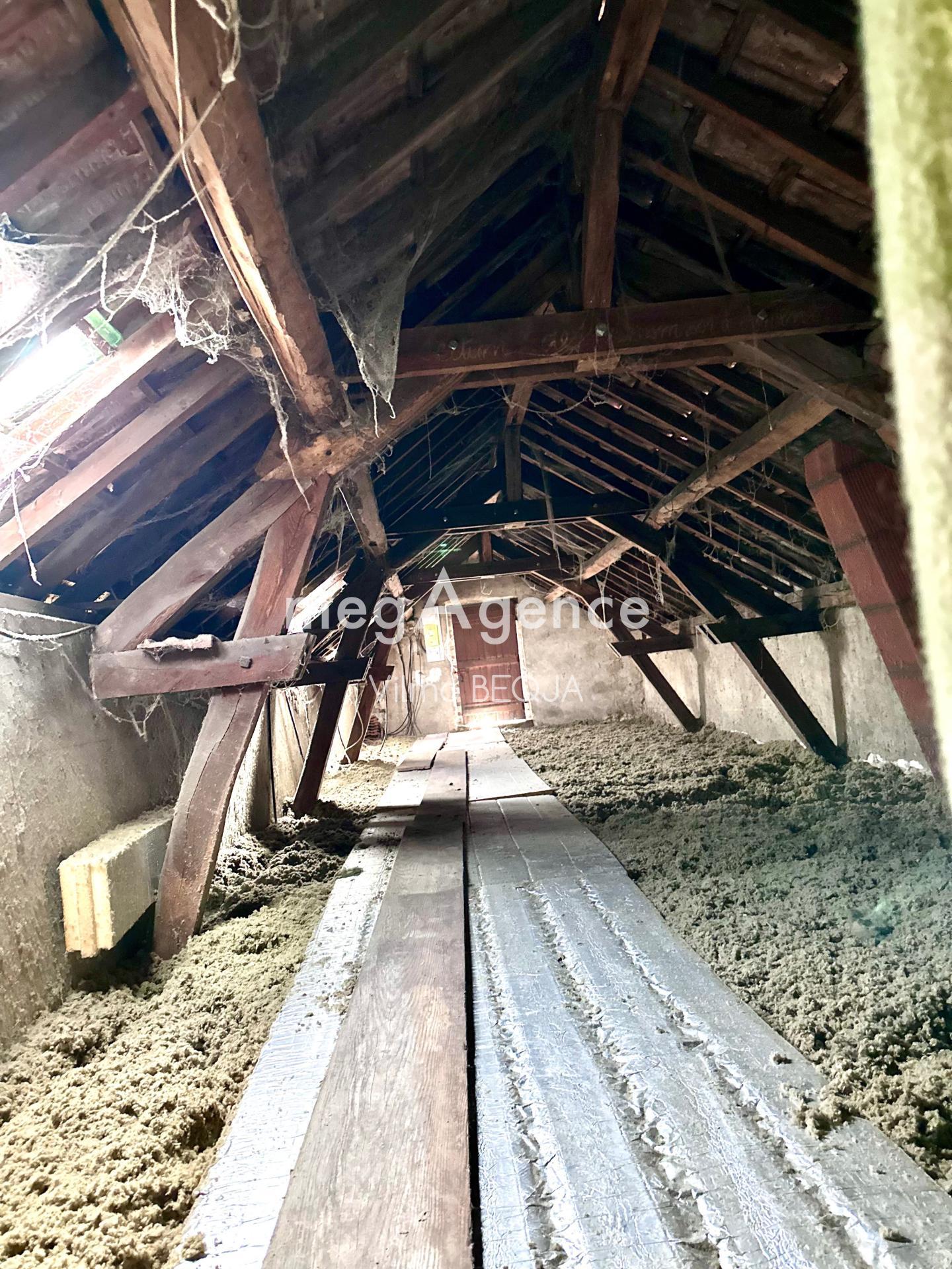 Miniature photo - 12 / 13