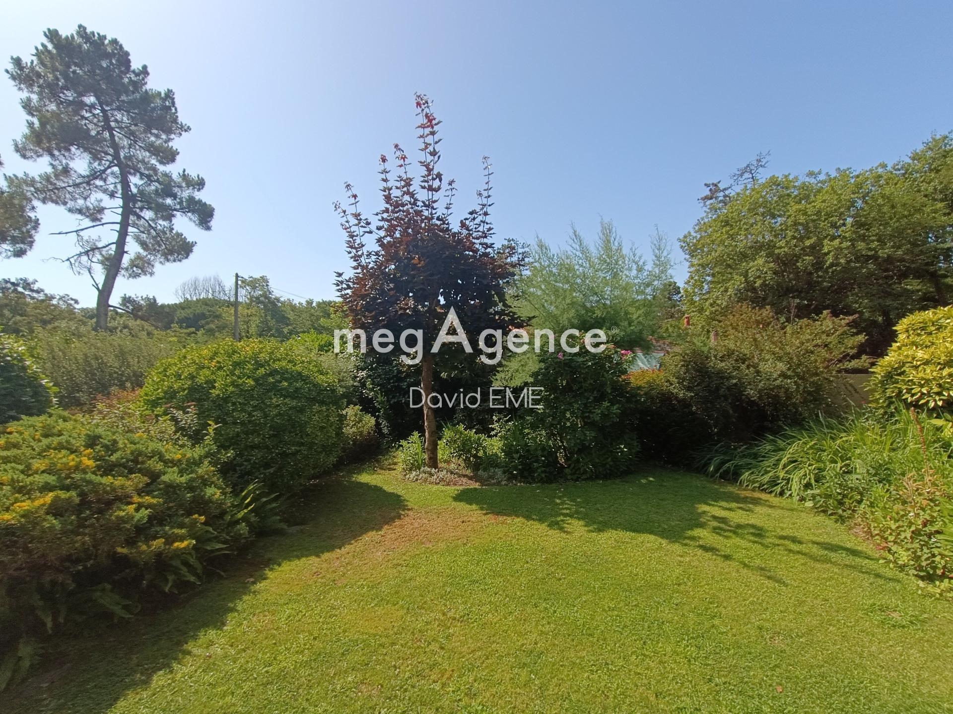 Miniature photo - 12 / 12