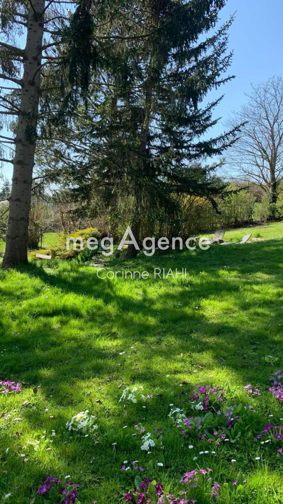 Miniature photo - 13 / 16