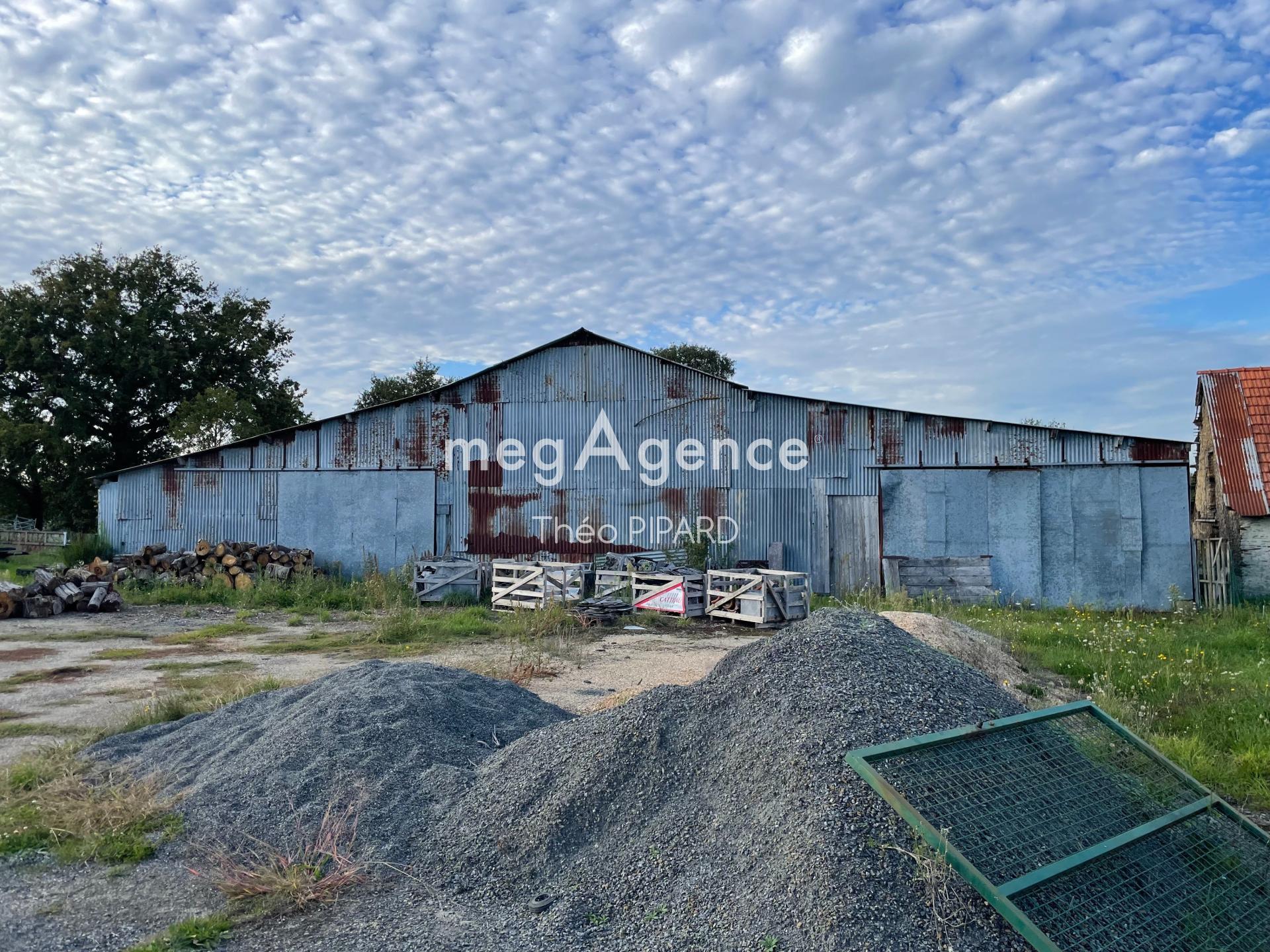 Miniature photo - 2 / 3