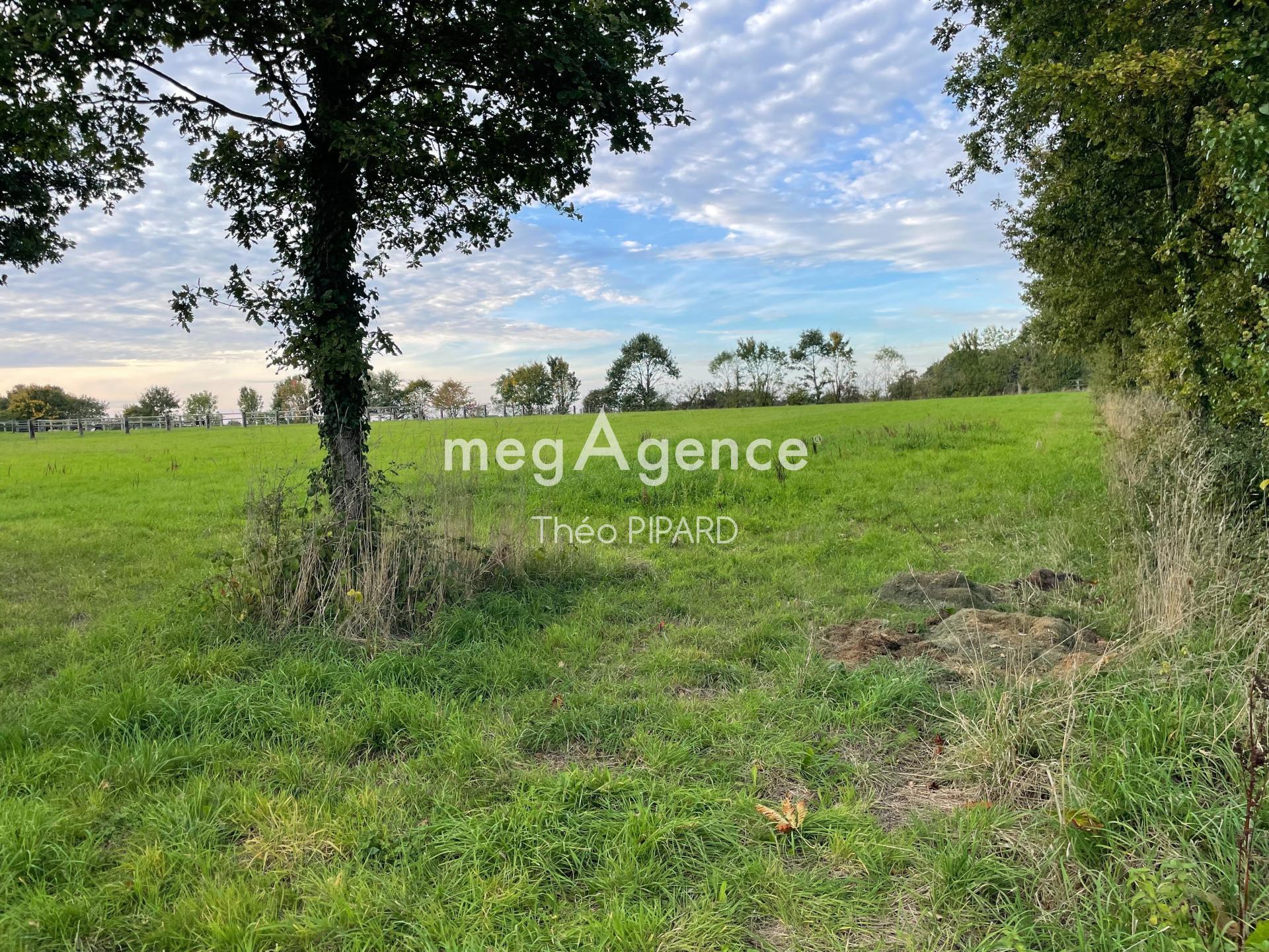 Miniature photo - 3 / 3