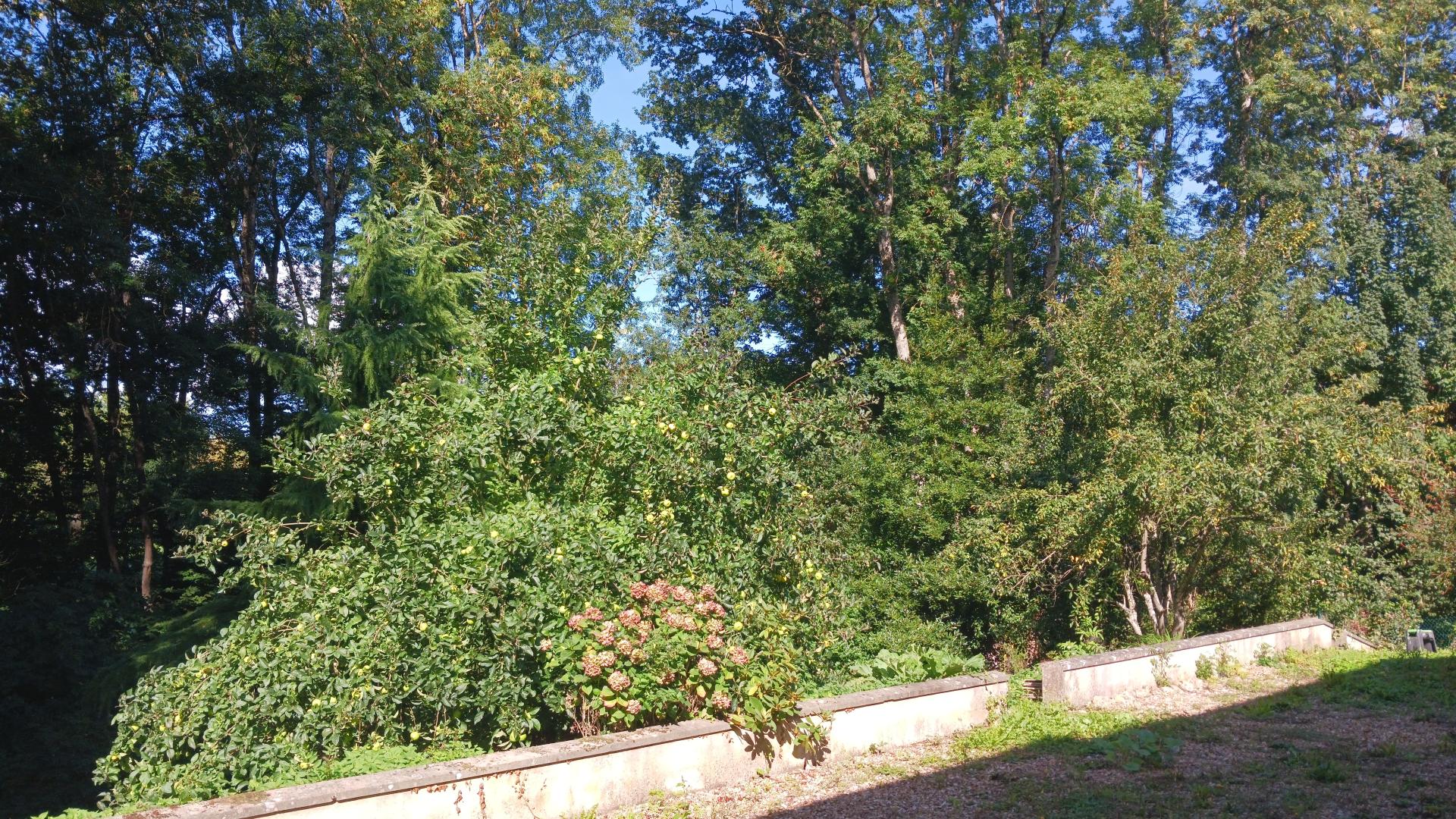 Miniature photo - 16 / 16