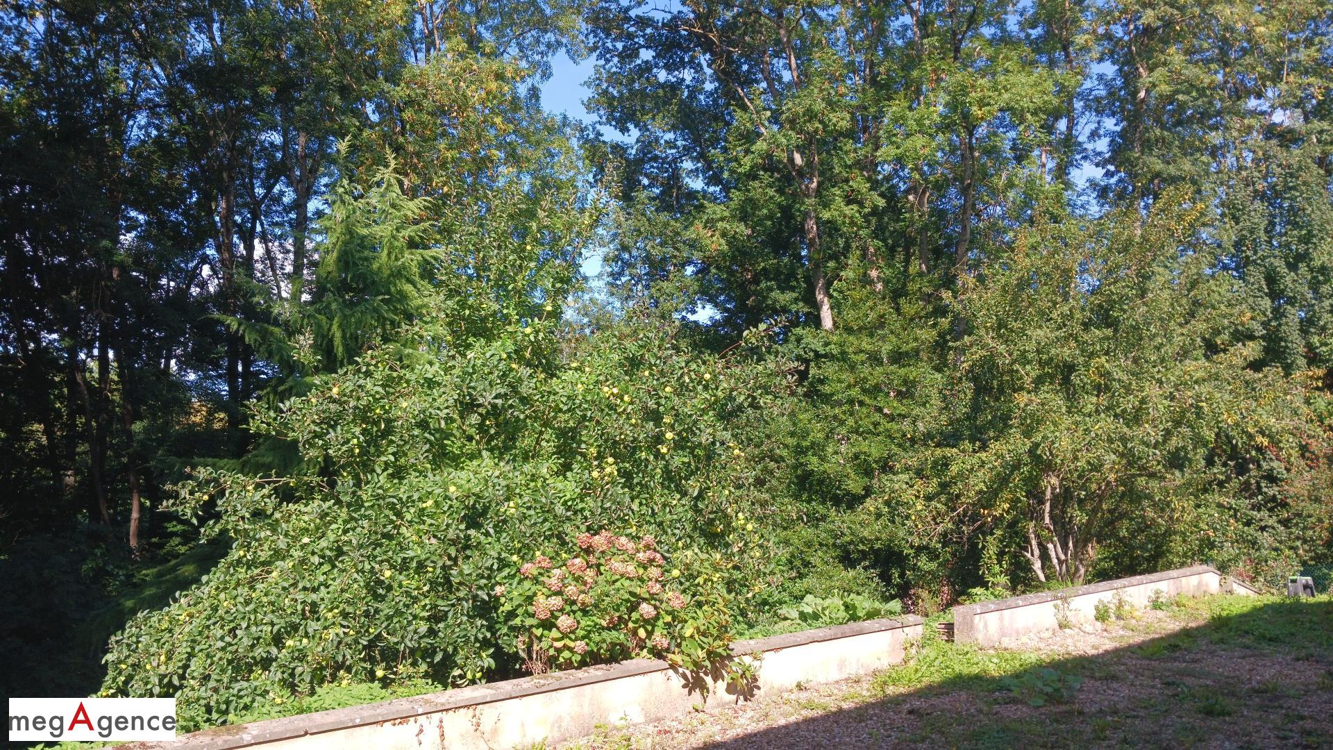 Miniature photo - 9 / 16