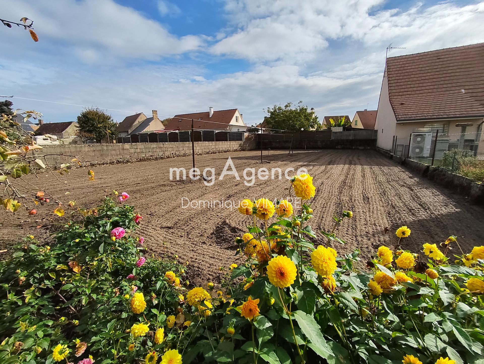 Miniature photo - 2 / 11