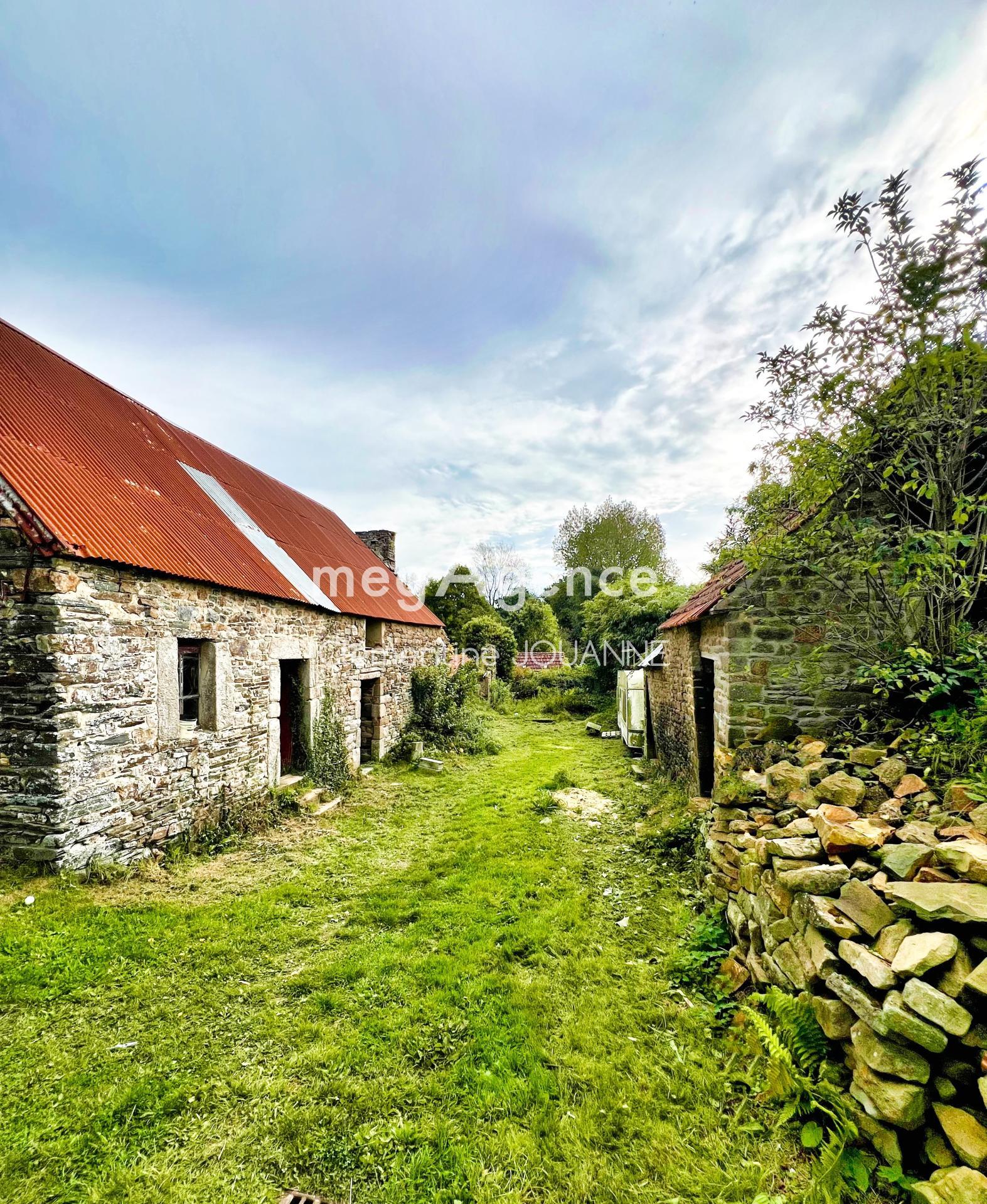 Miniature photo - 4 / 10