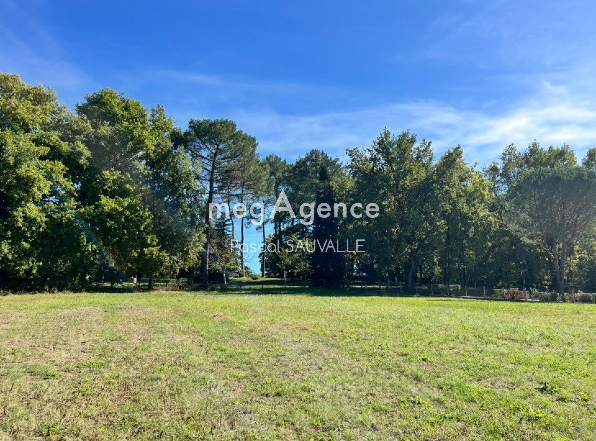 Miniature photo - 2 / 3