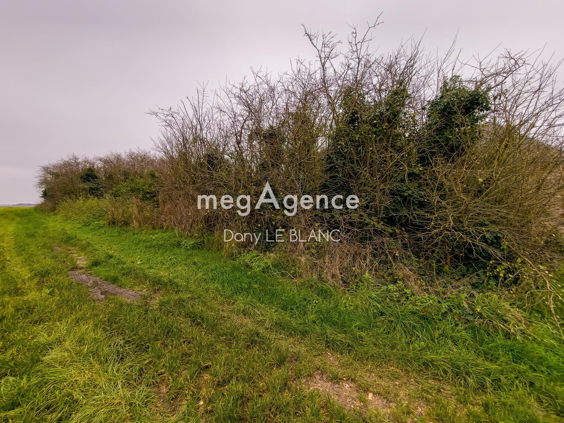 Miniature photo - 2 / 4