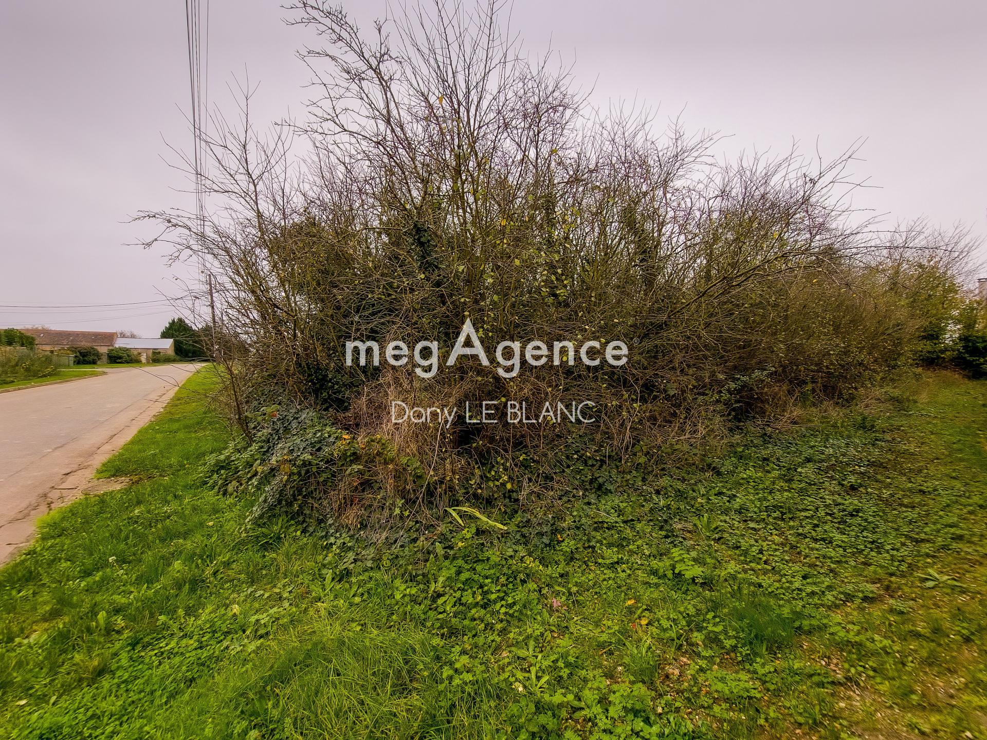 Miniature photo - 3 / 4