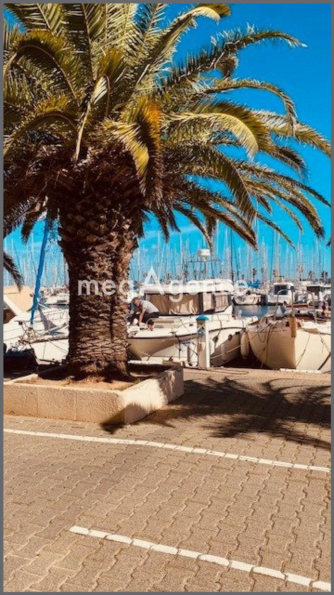 Miniature photo - 10 / 11