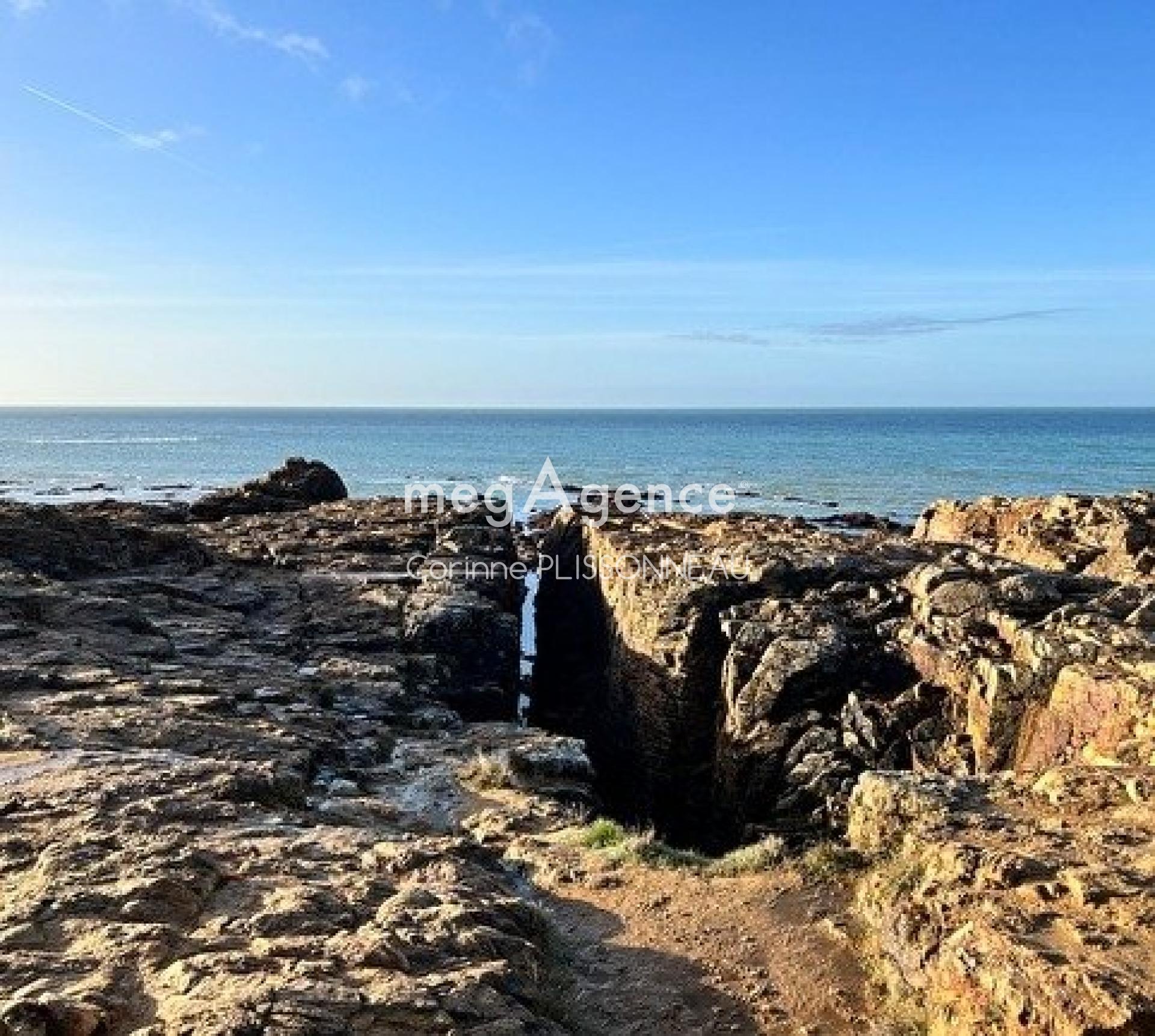 Miniature photo - 4 / 5