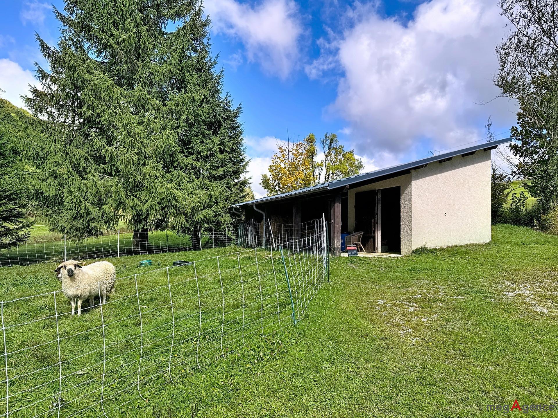 Miniature photo - 2 / 19