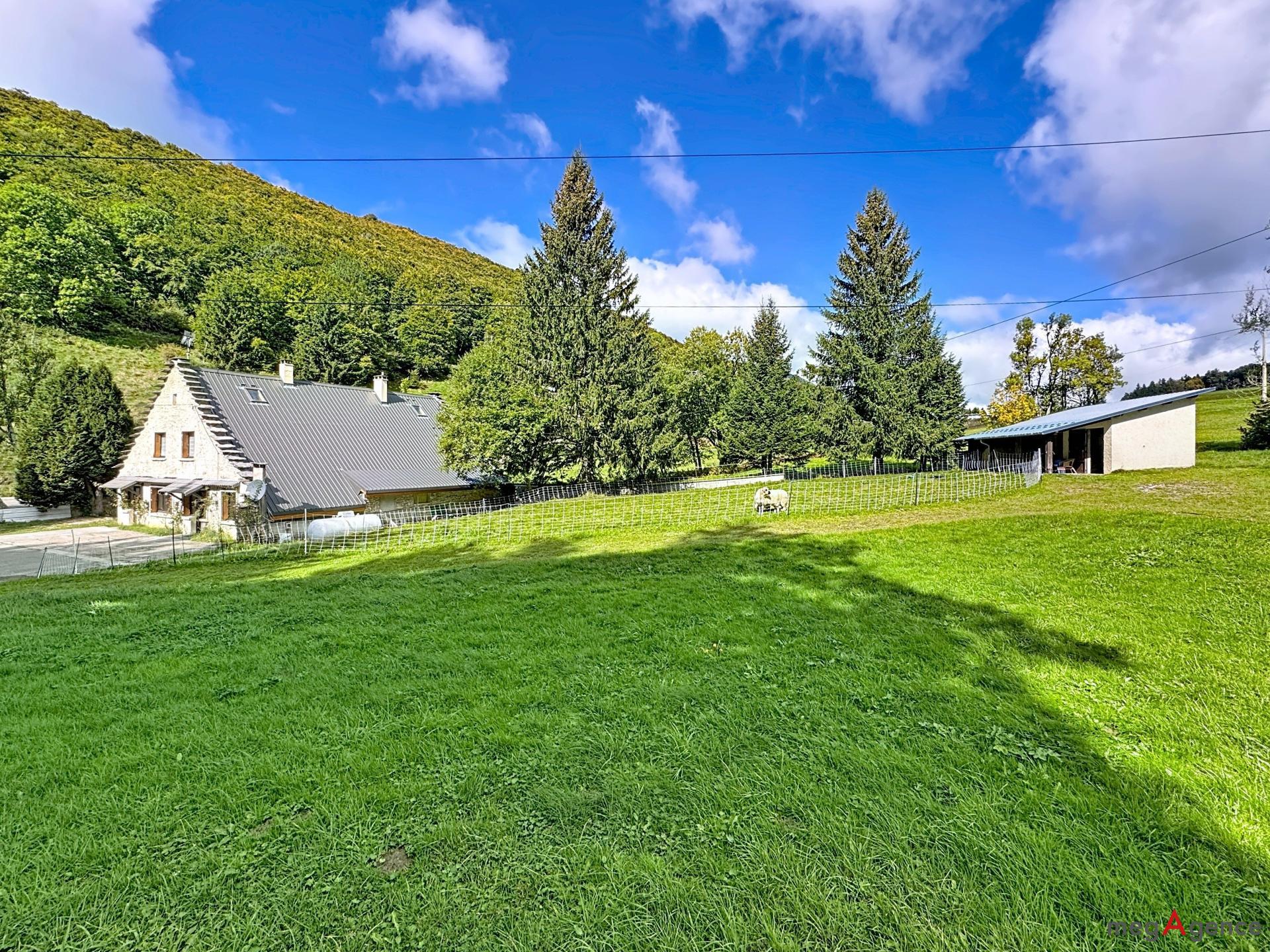 Miniature photo - 6 / 19