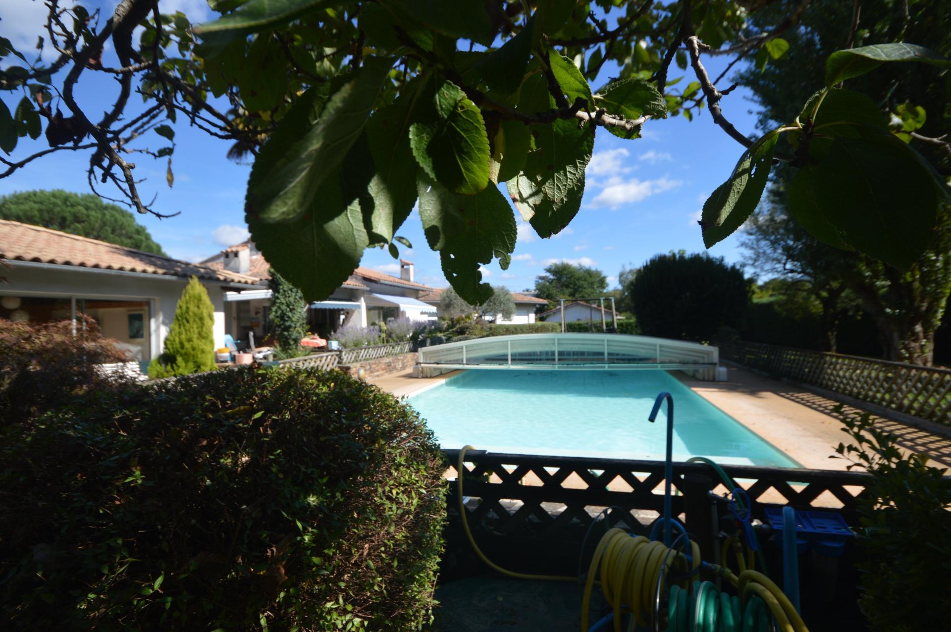 Miniature photo - 5 / 20