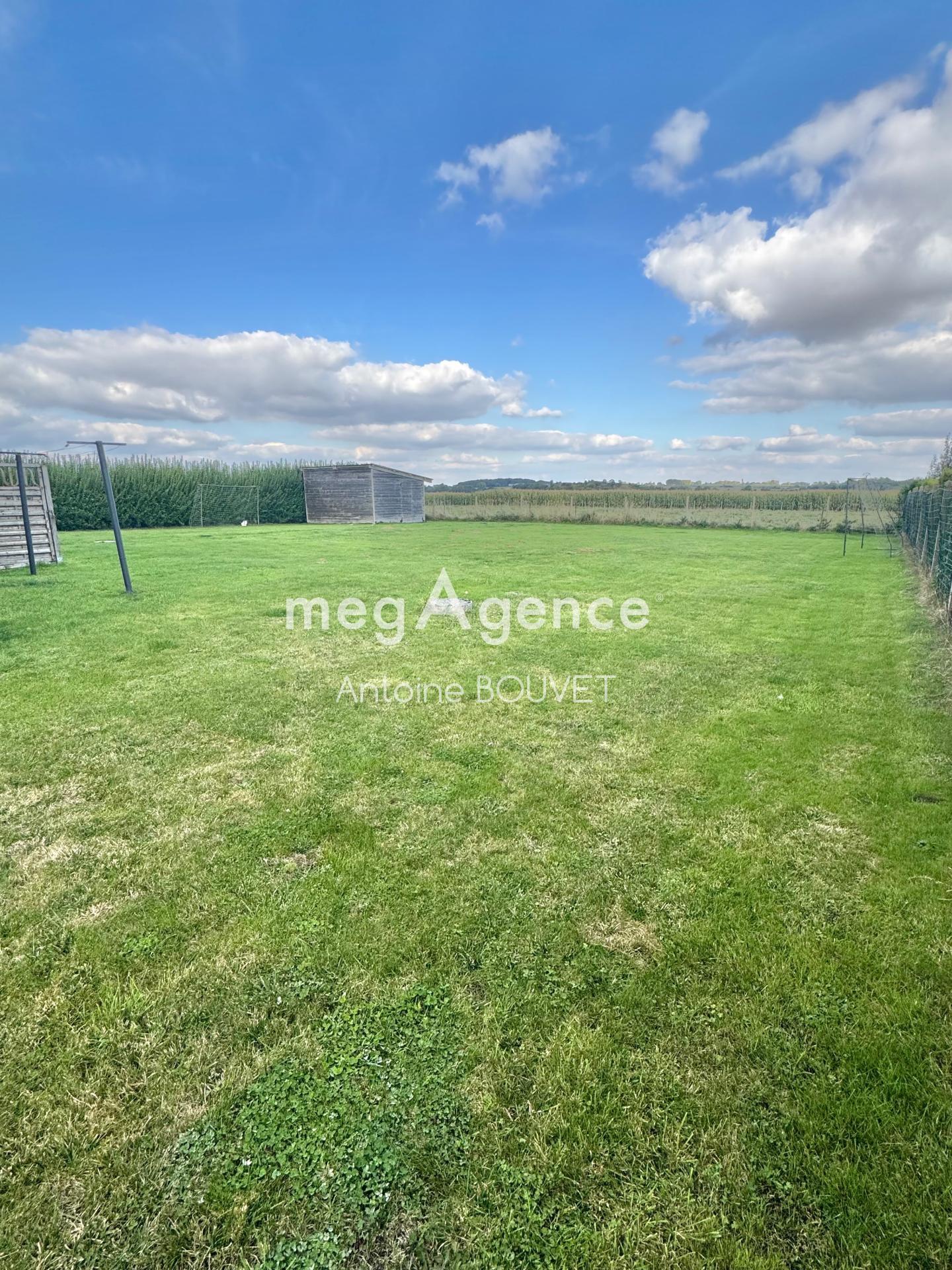 Miniature photo - 3 / 12