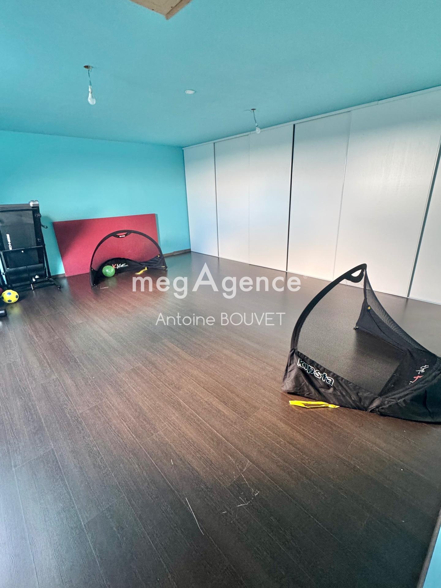 Miniature photo - 12 / 12